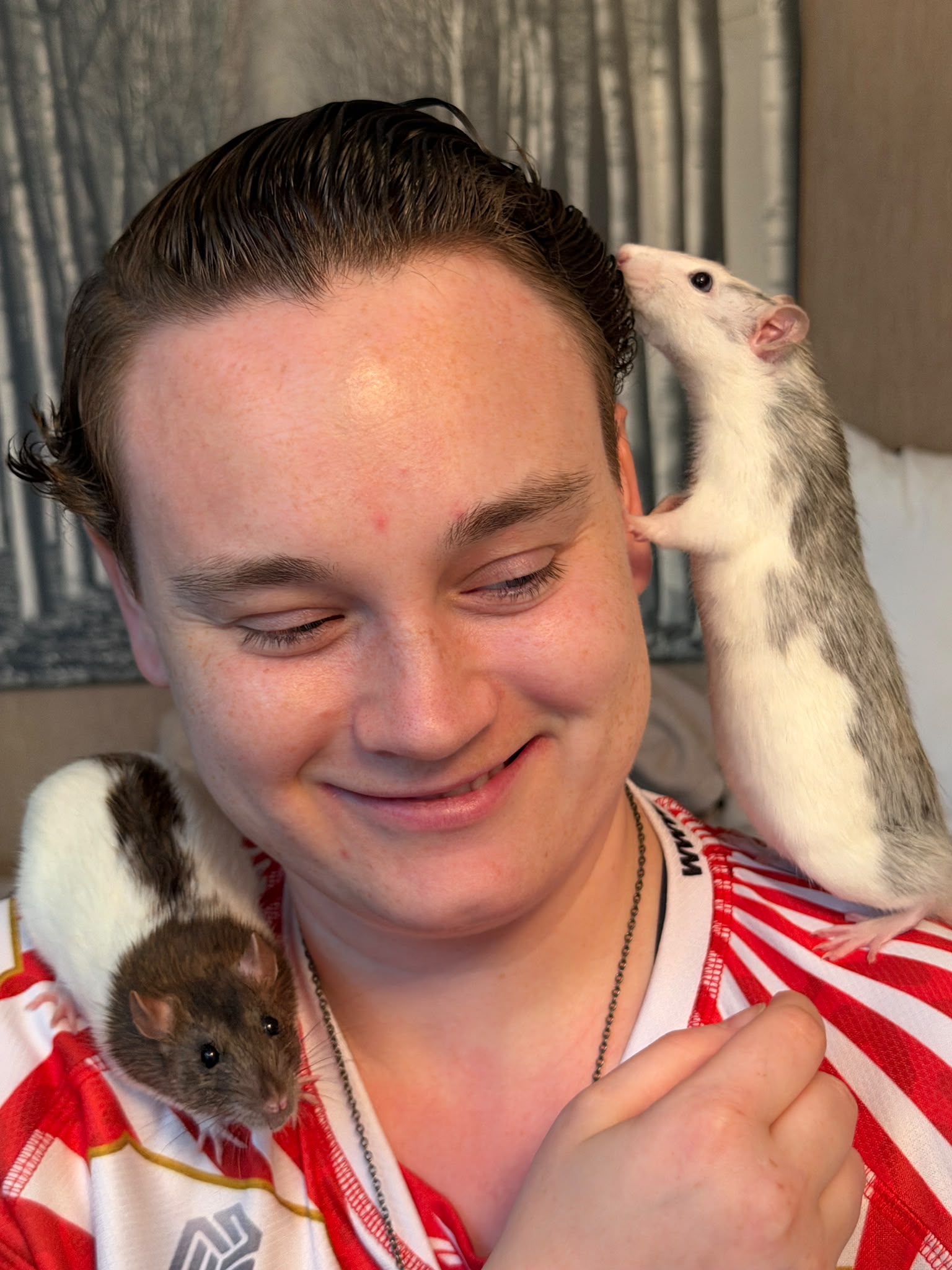 image-20
