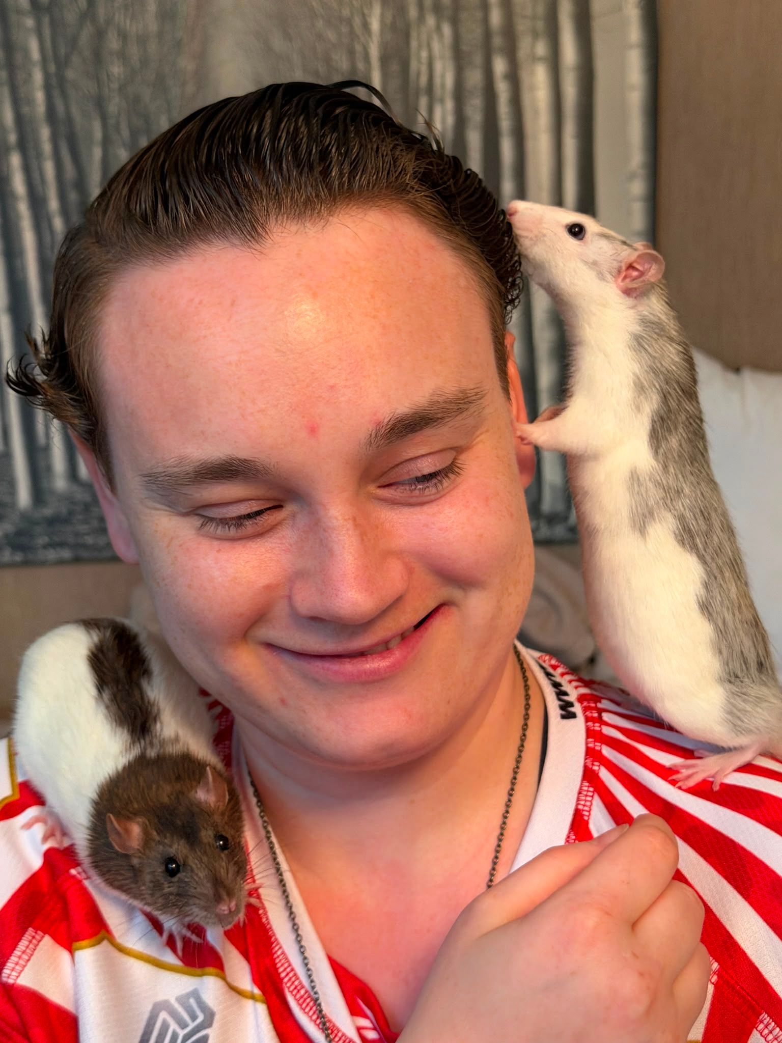 image-20