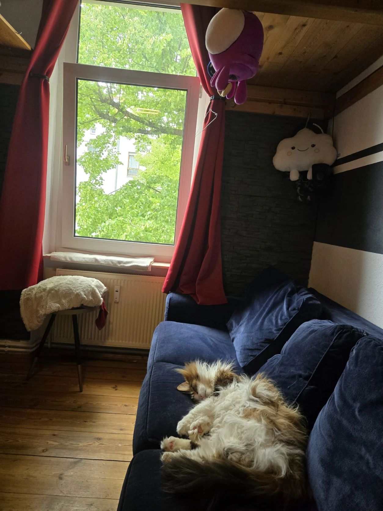image-15