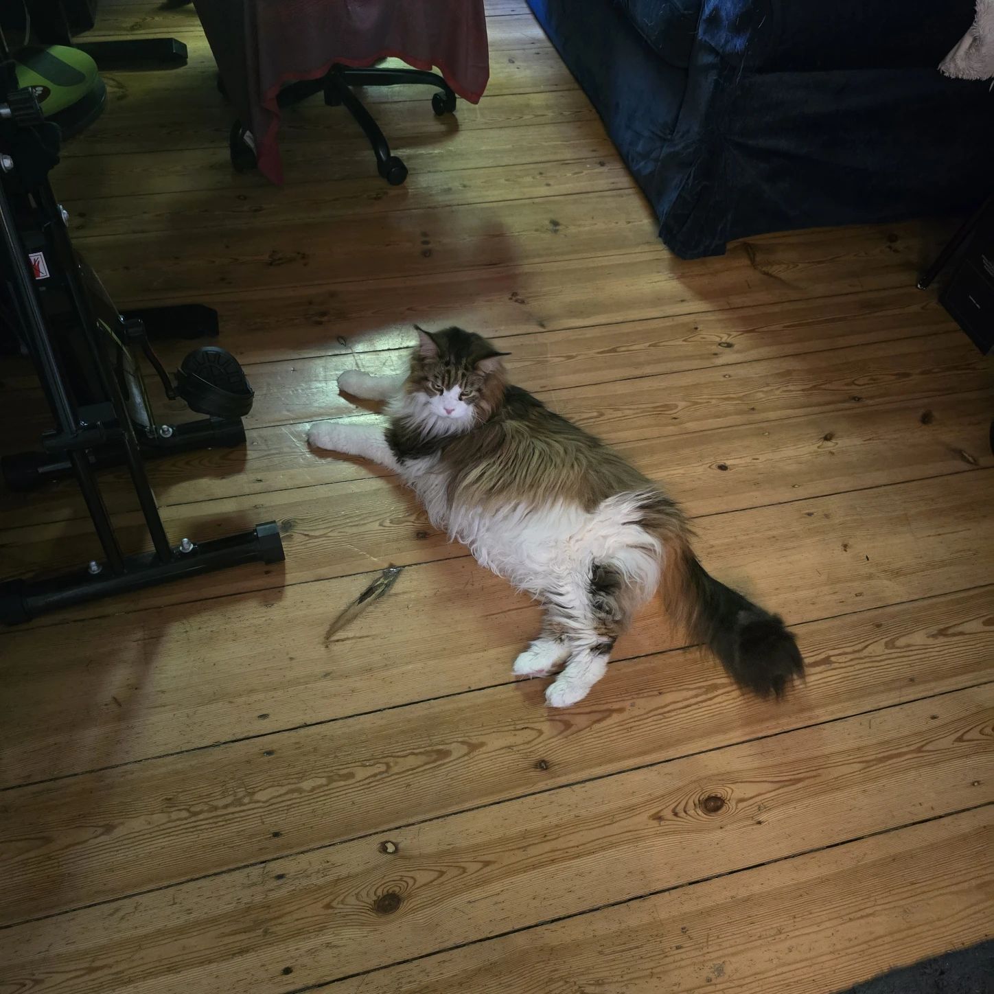 image-17