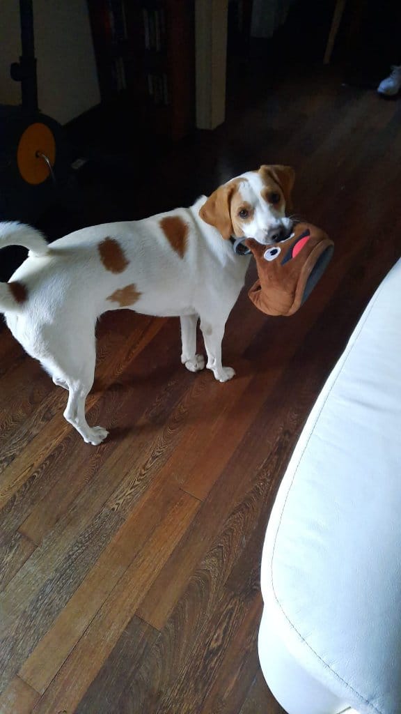 Ellie