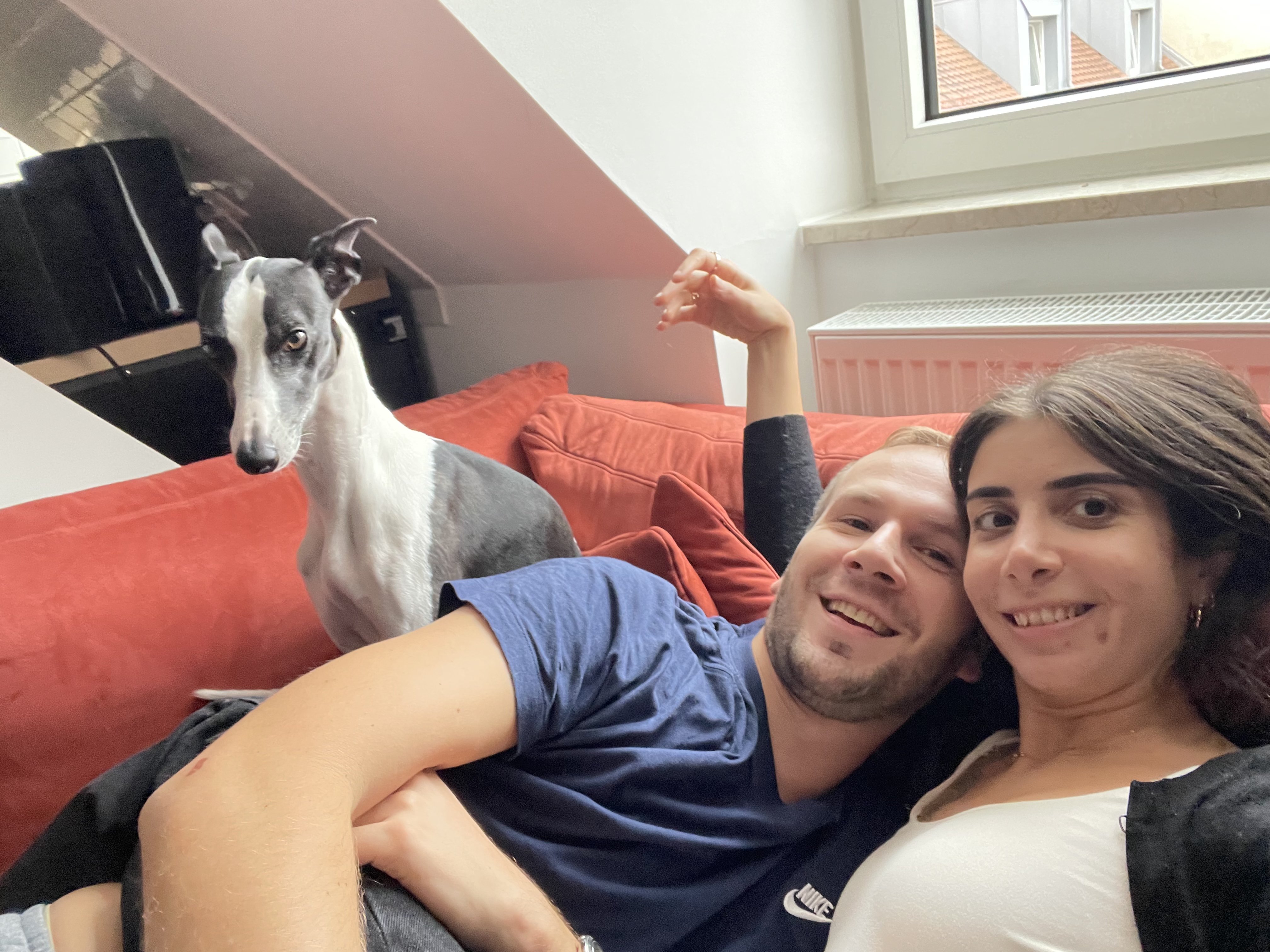 image-8