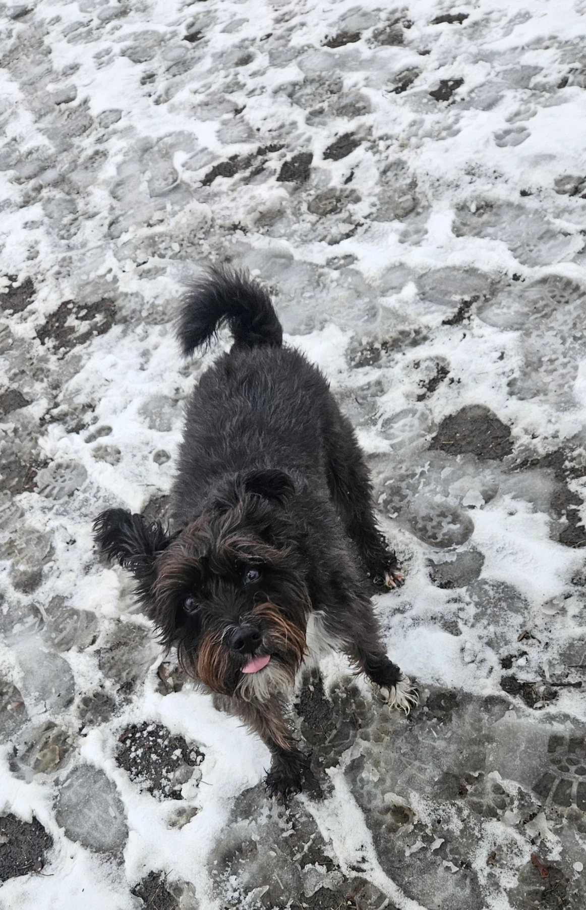 image-8