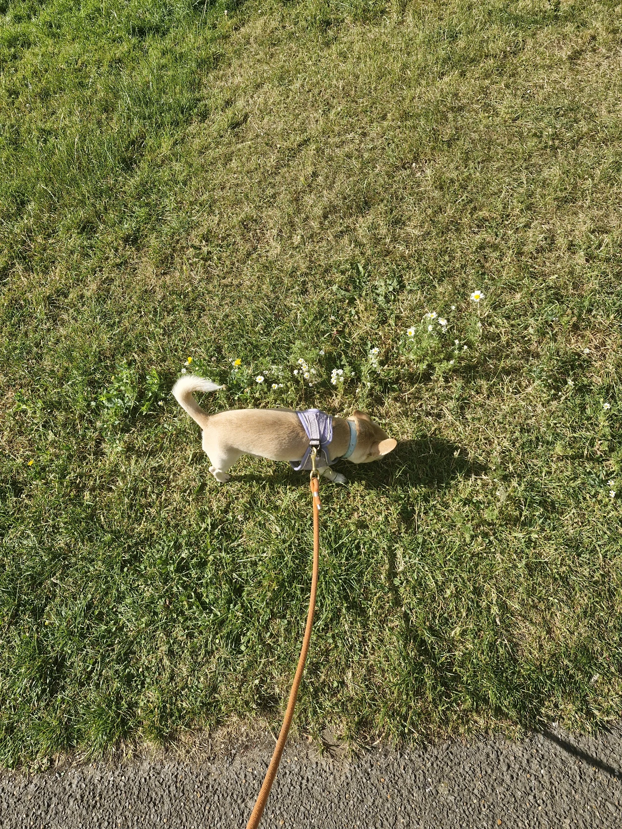image-5