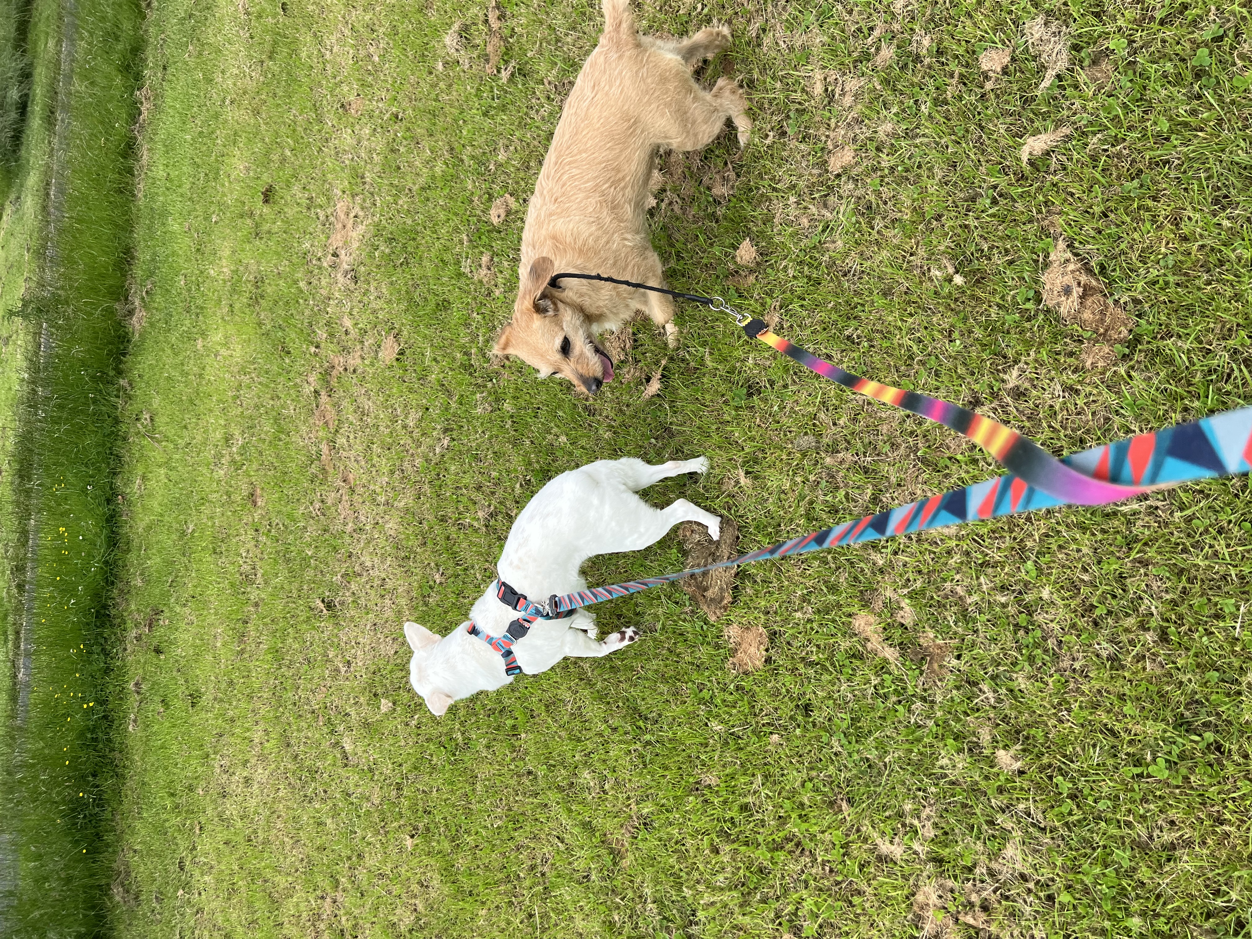 image-6