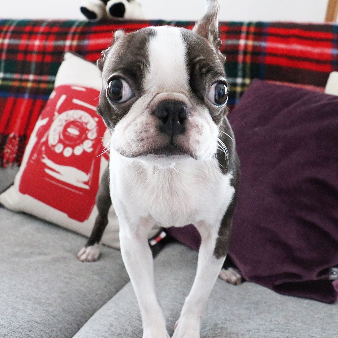Berri