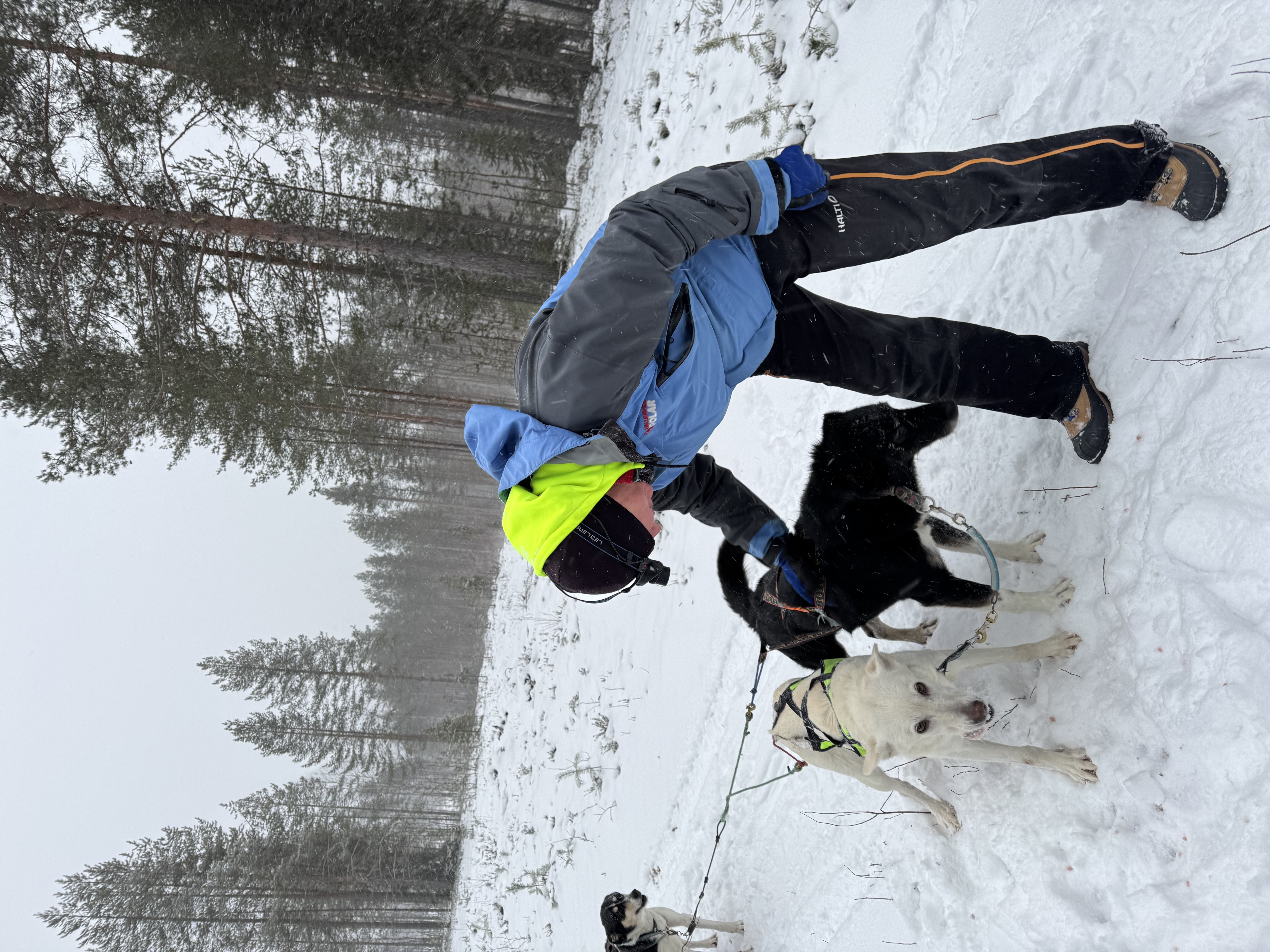 image-7