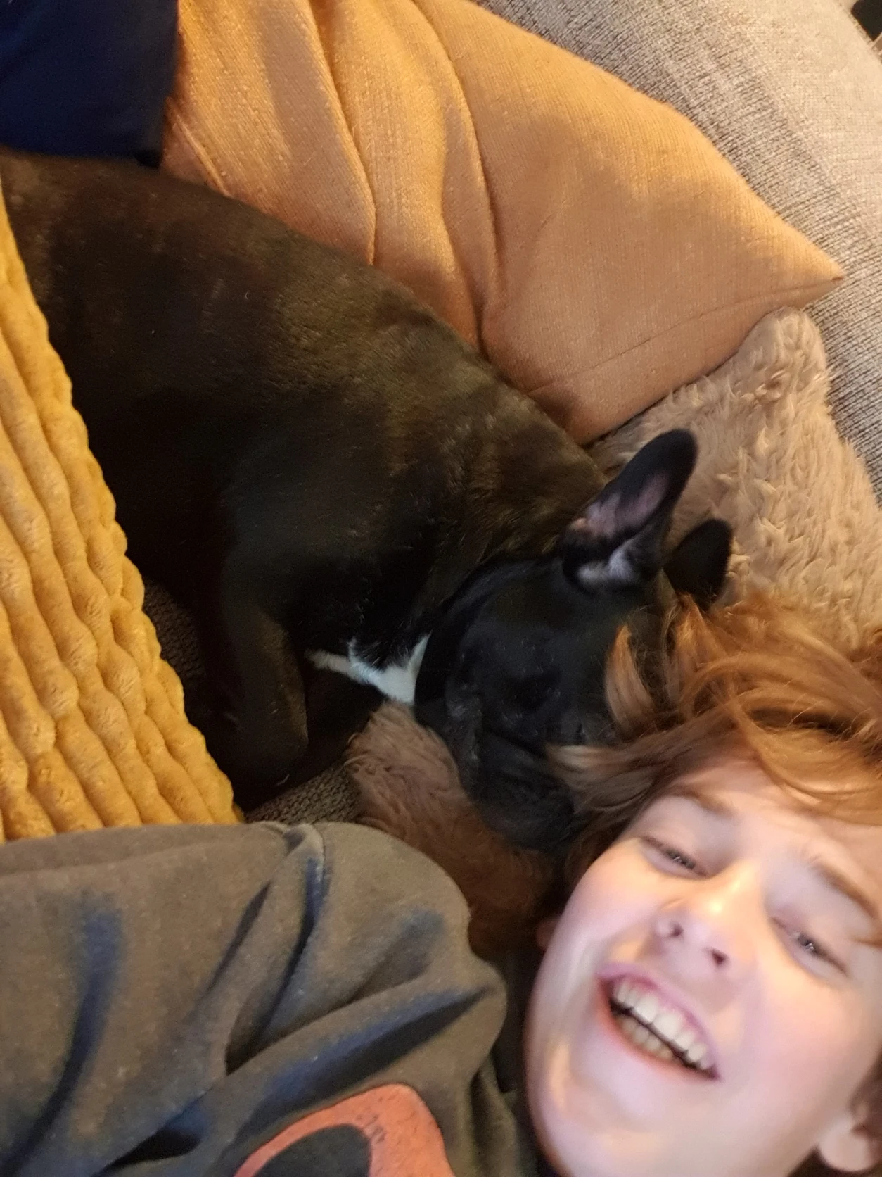image-6