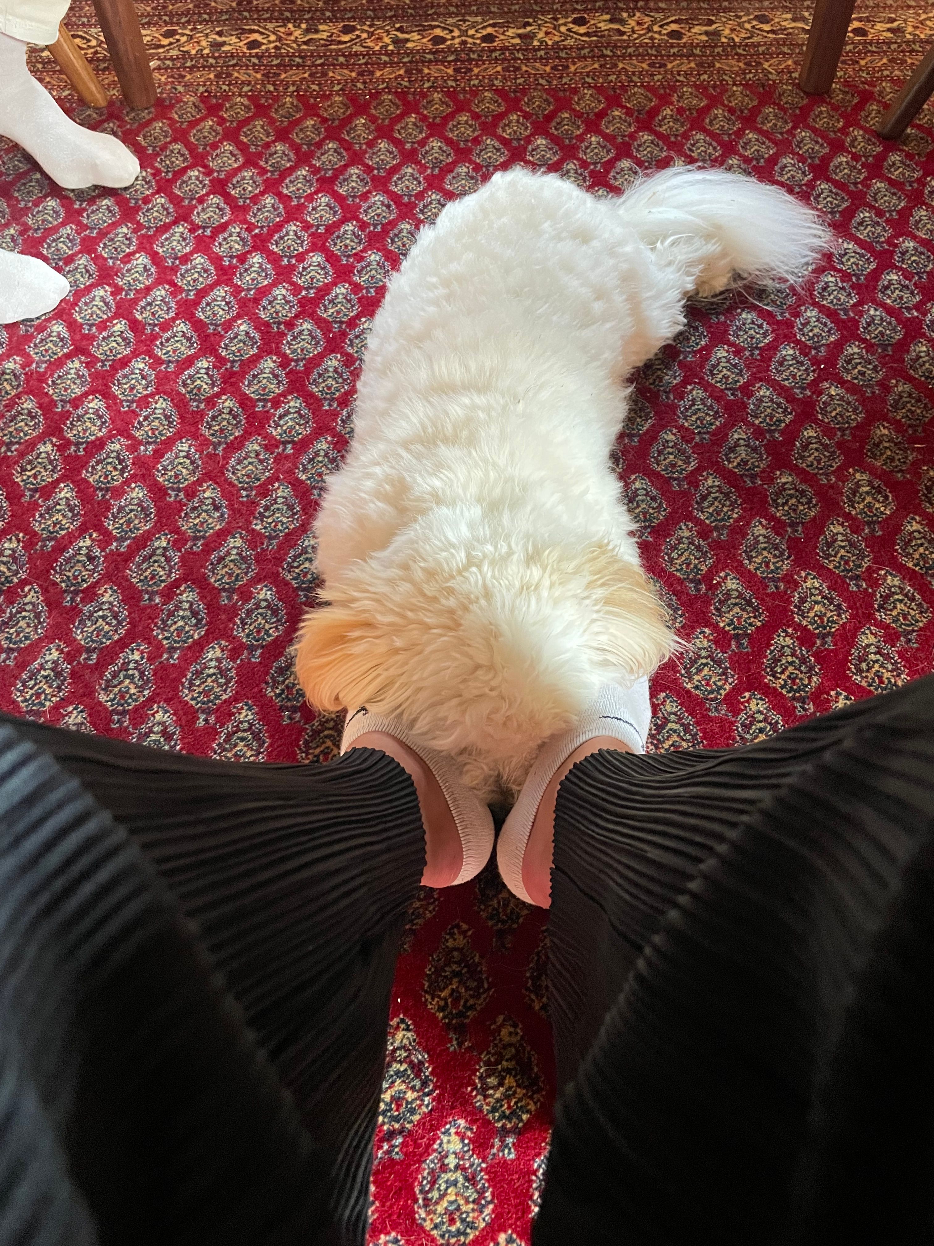 image-11