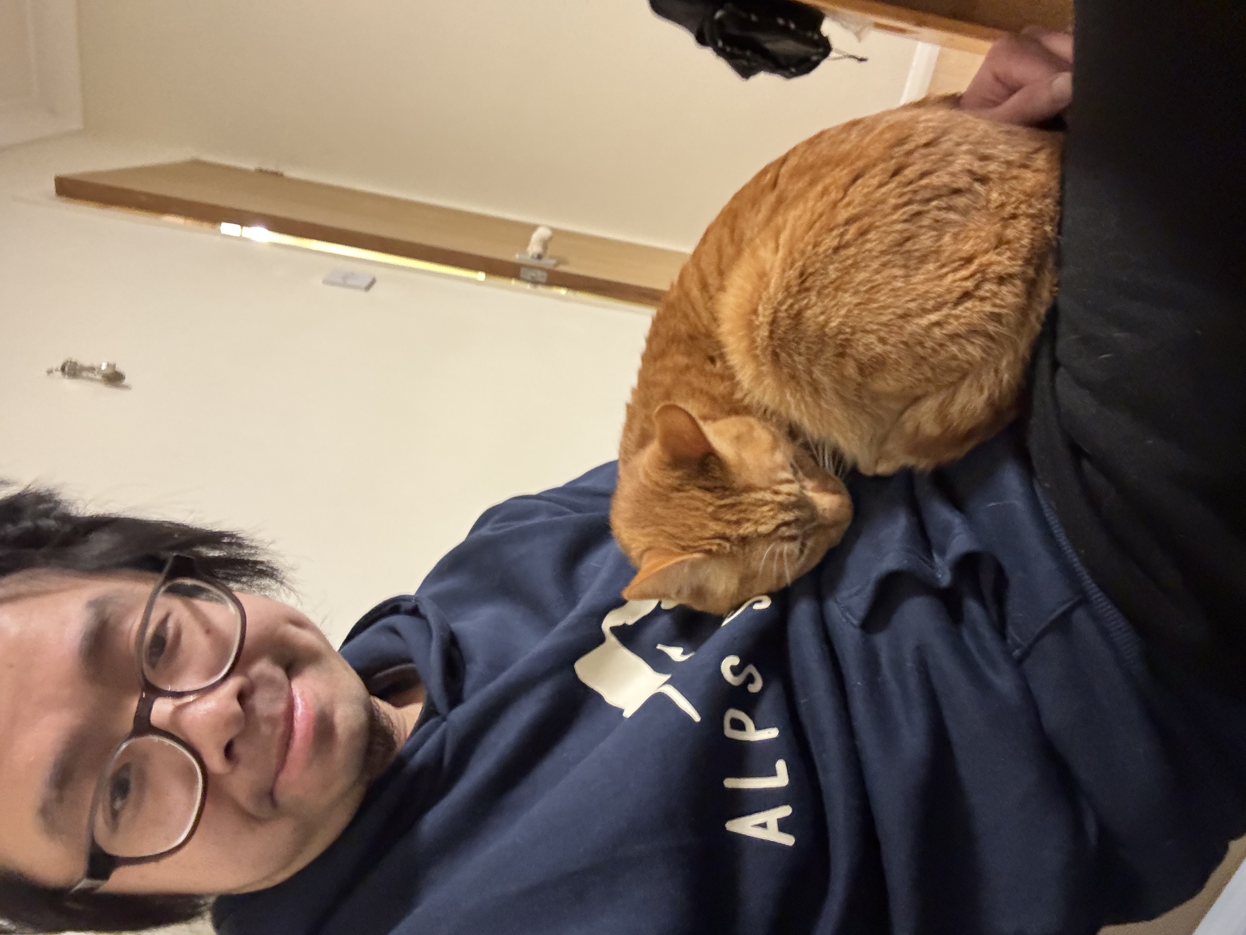 image-8