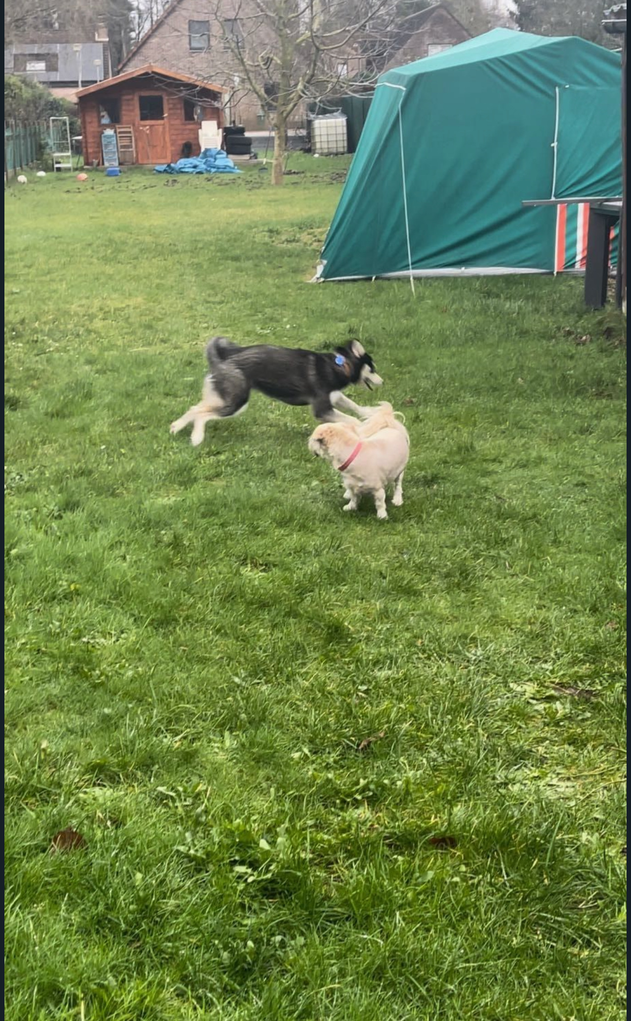 image-17