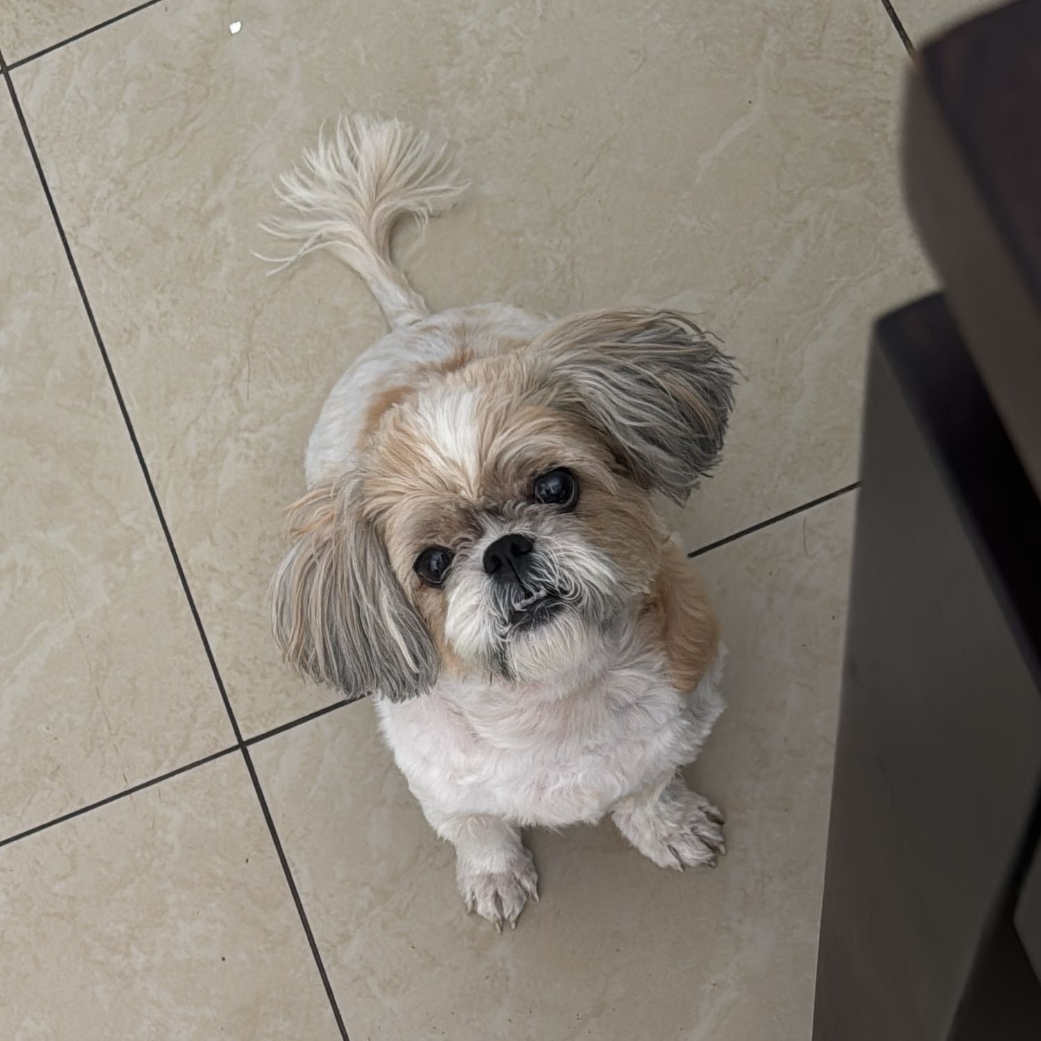 Vinky