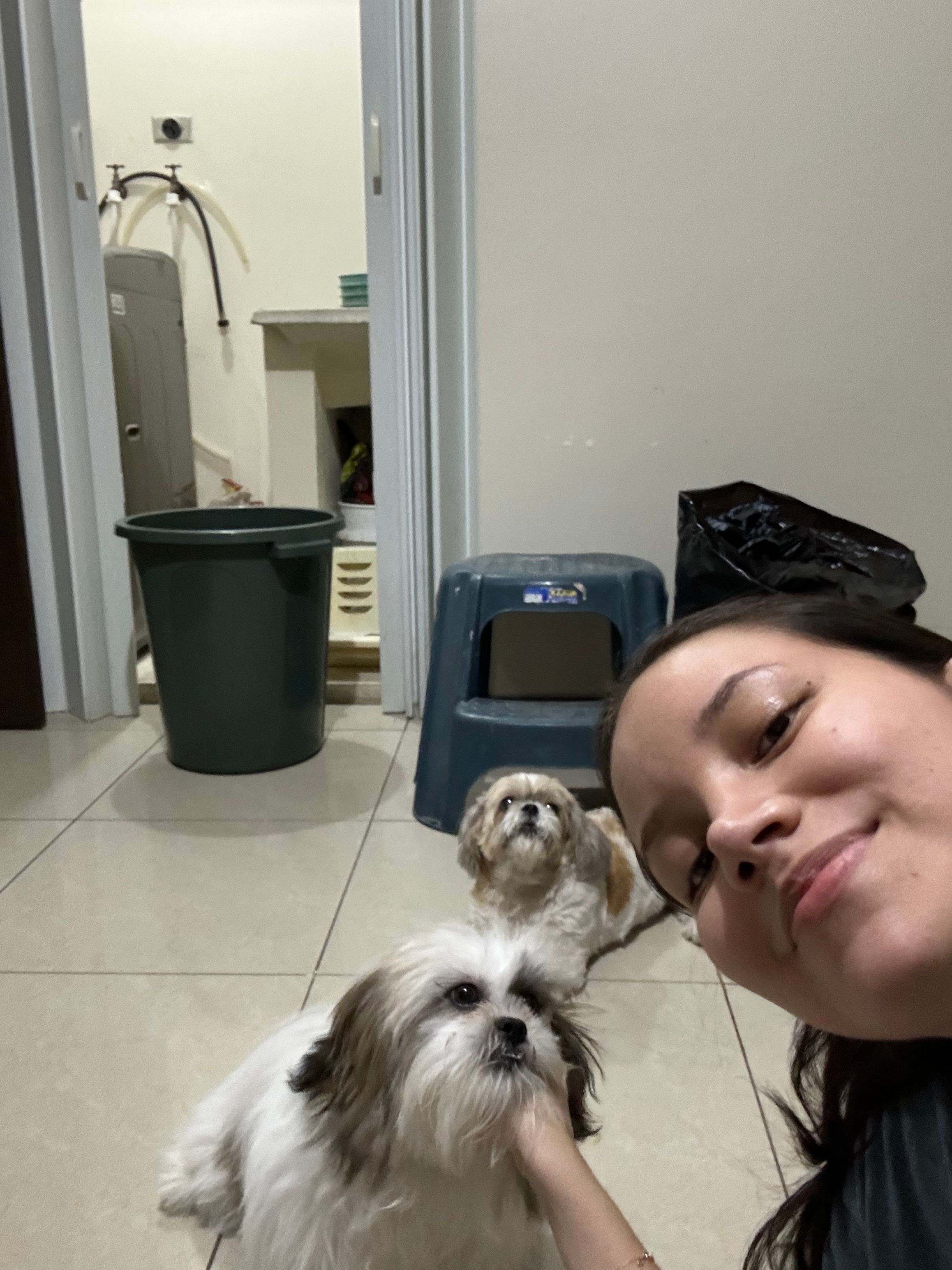 image-8