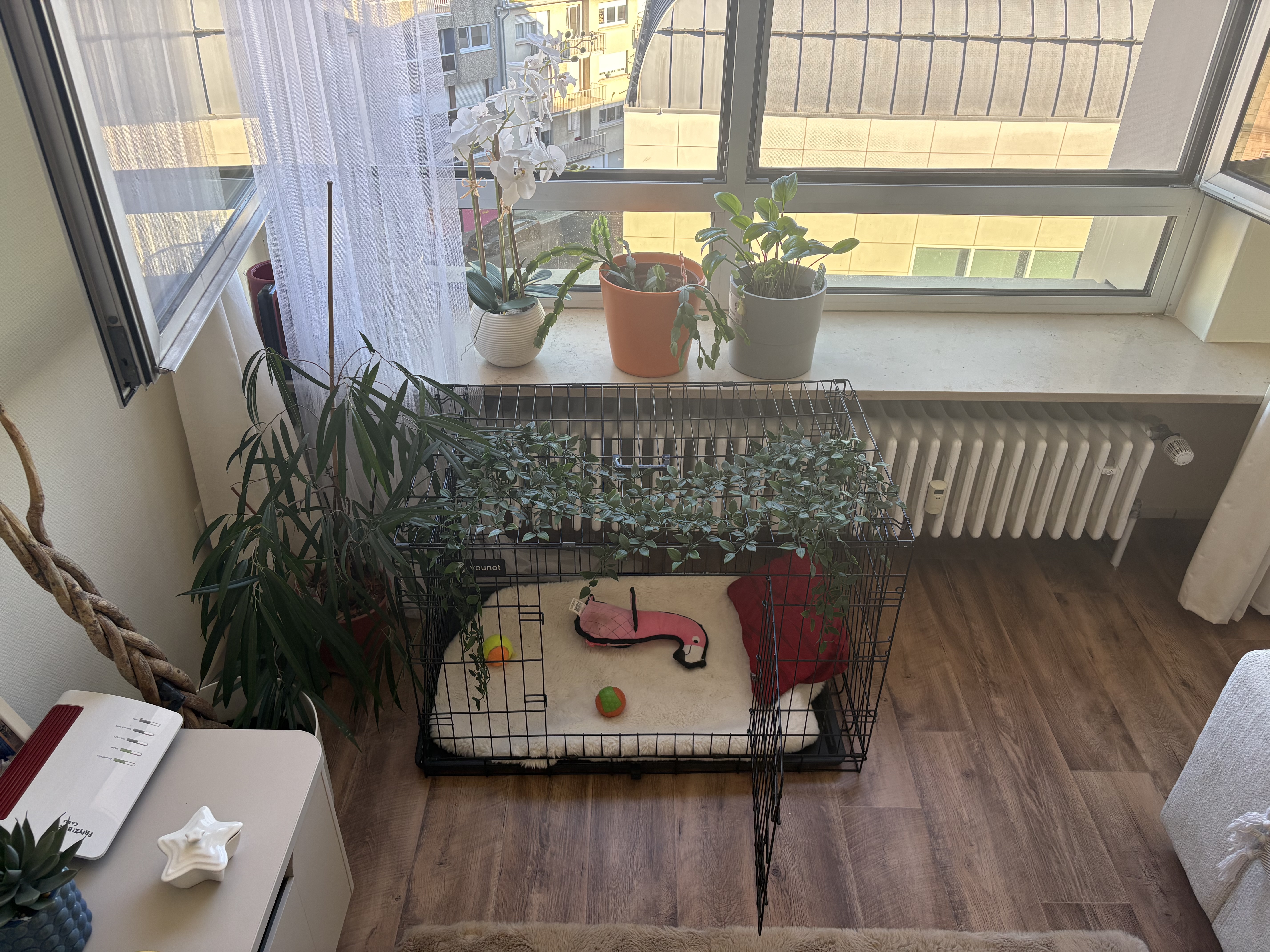 image-15