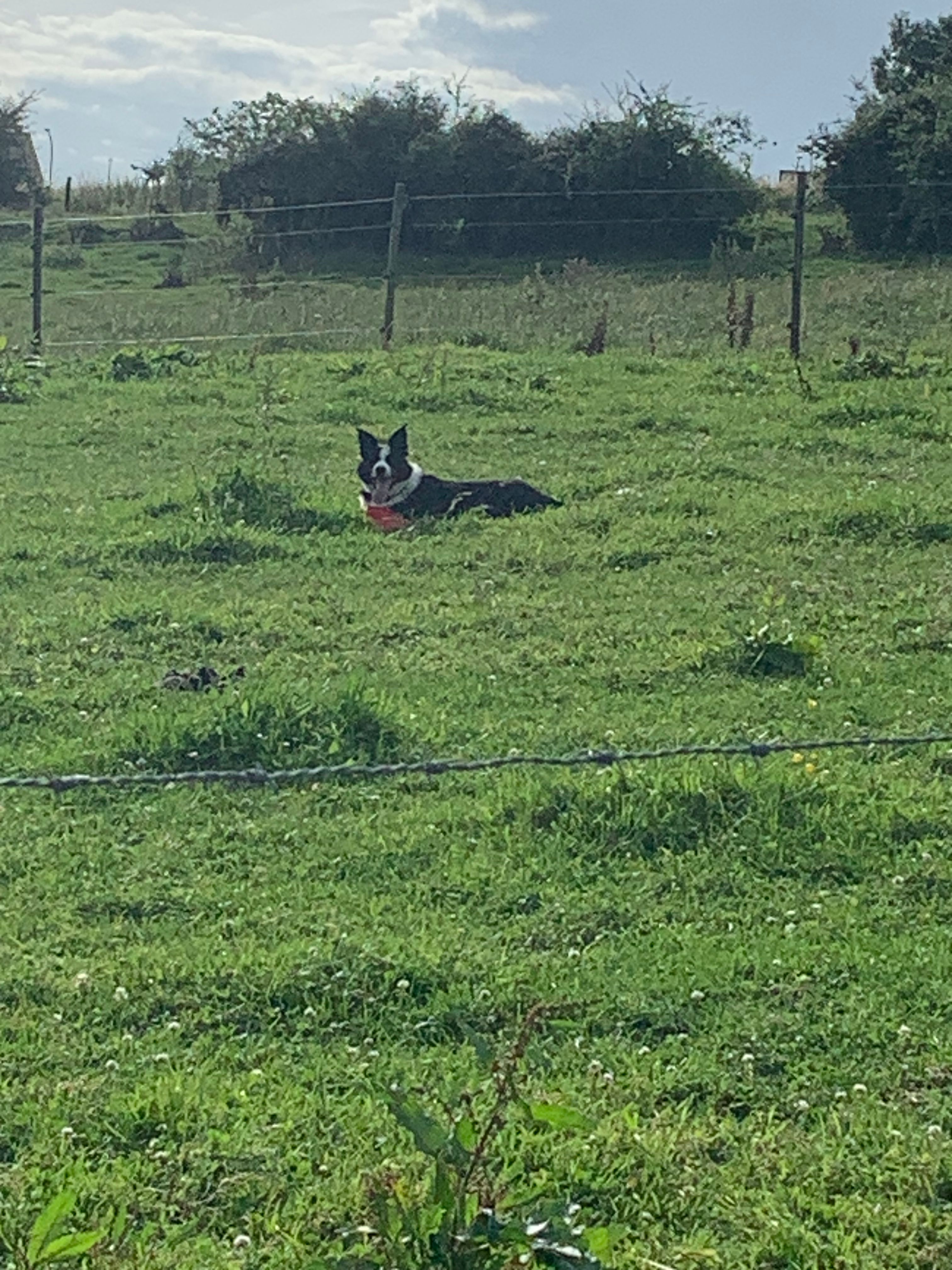 image-6
