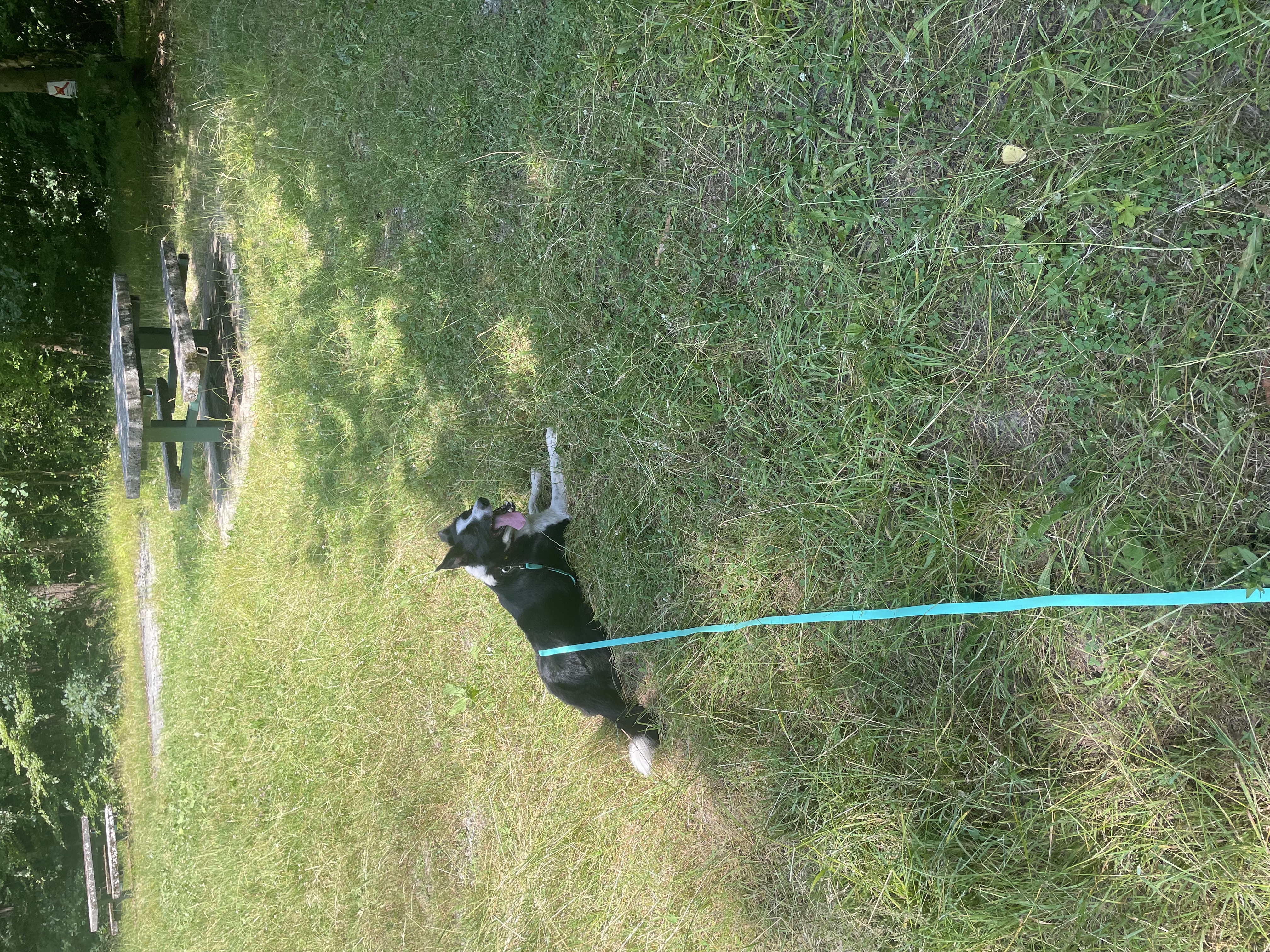 image-8