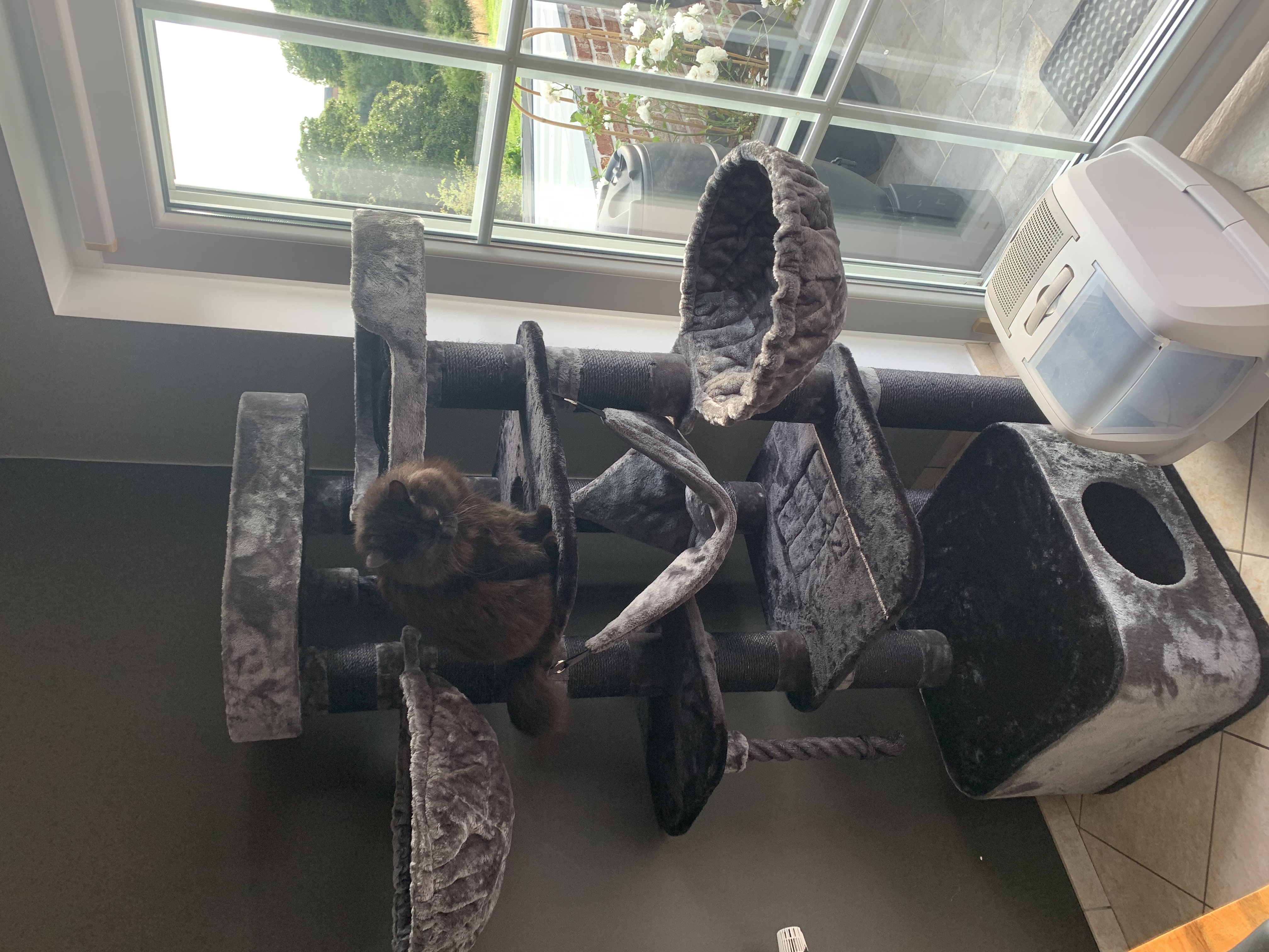 image-7