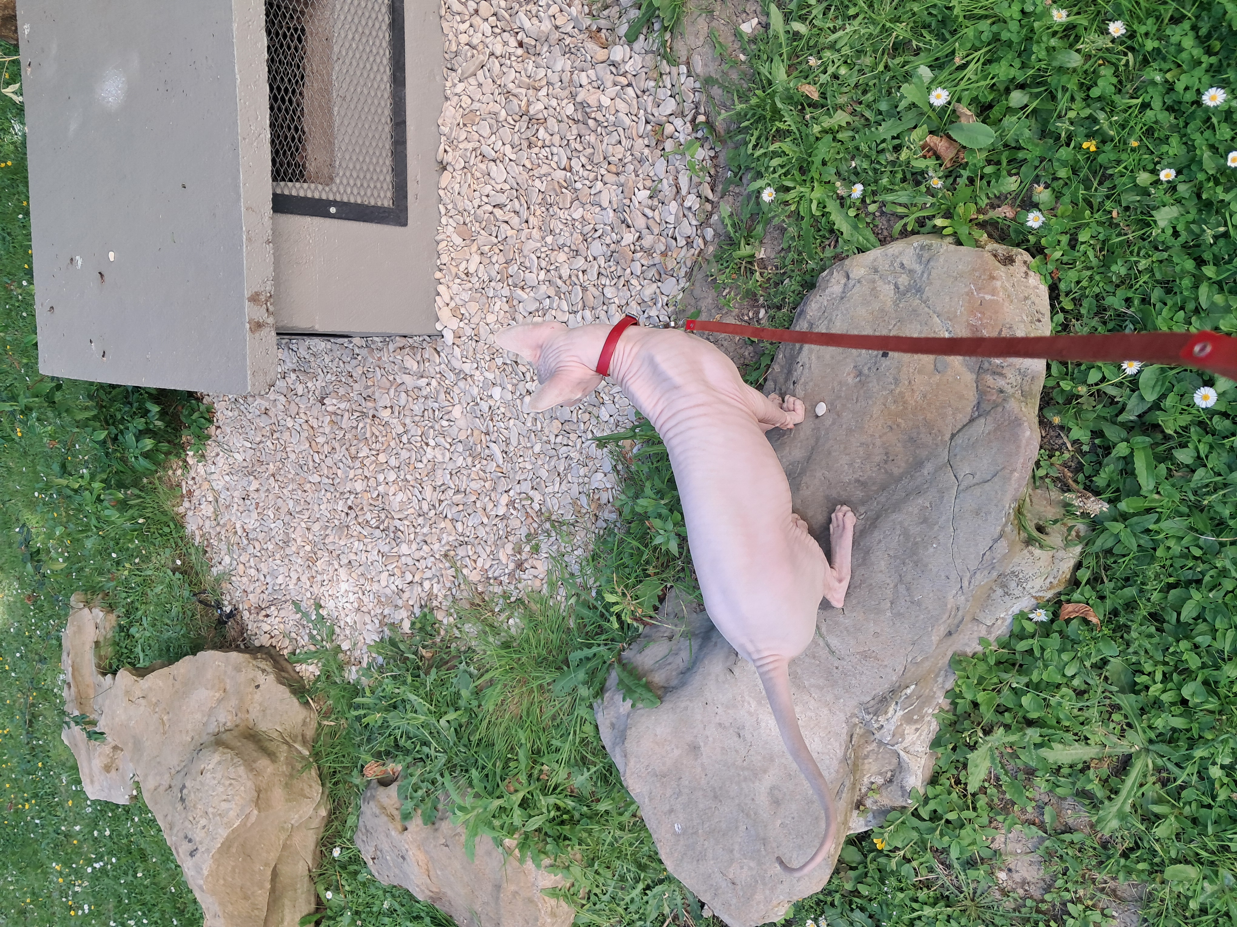 image-12
