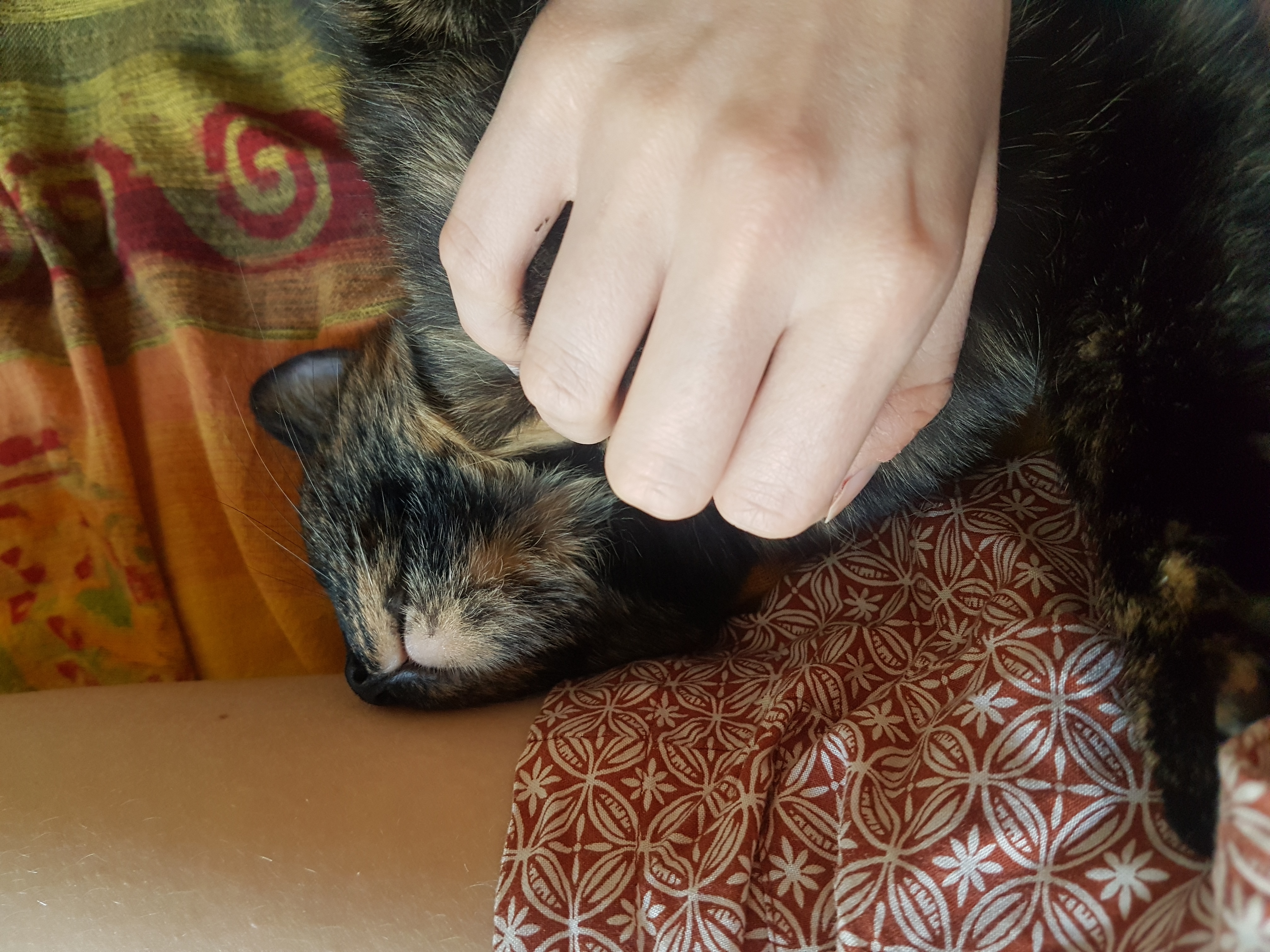 image-6