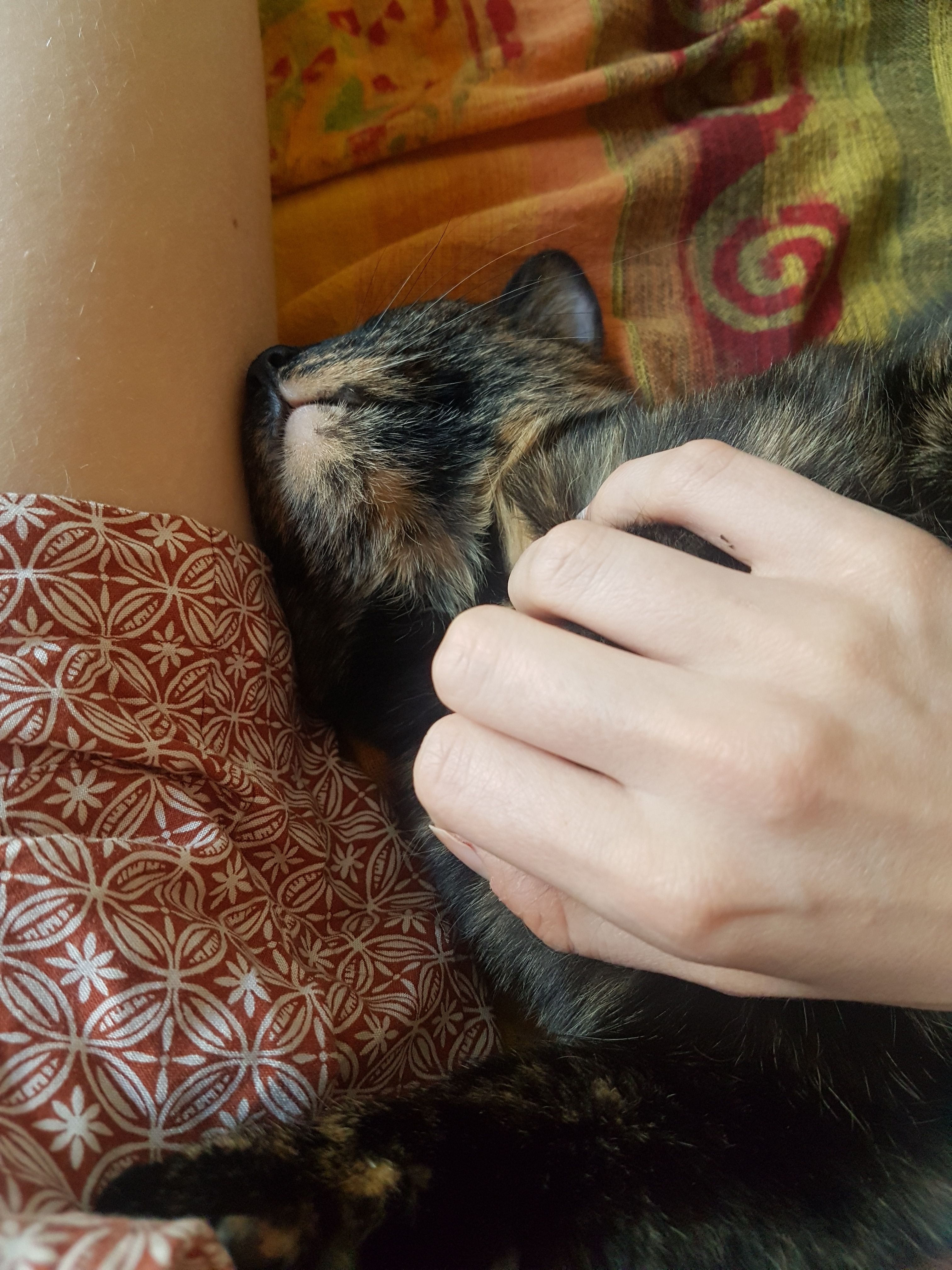 image-6