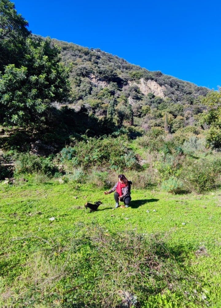 image-1