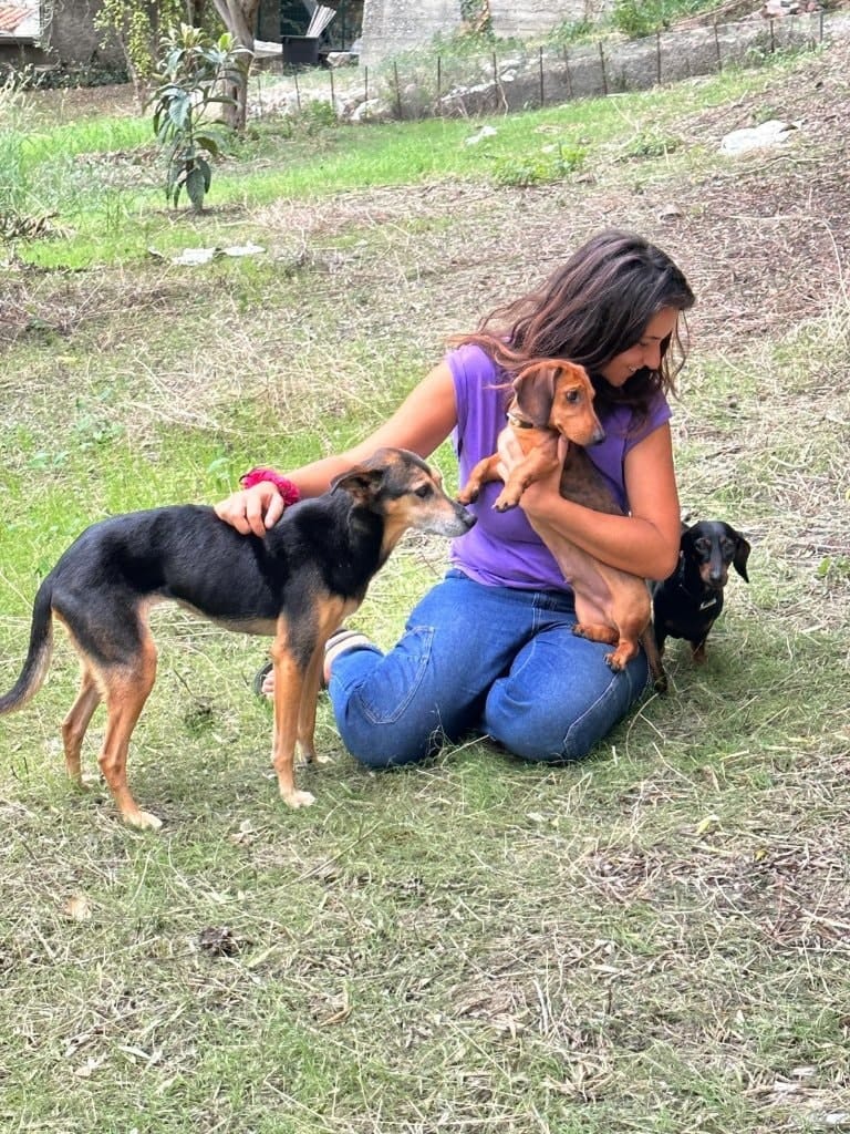 image-3