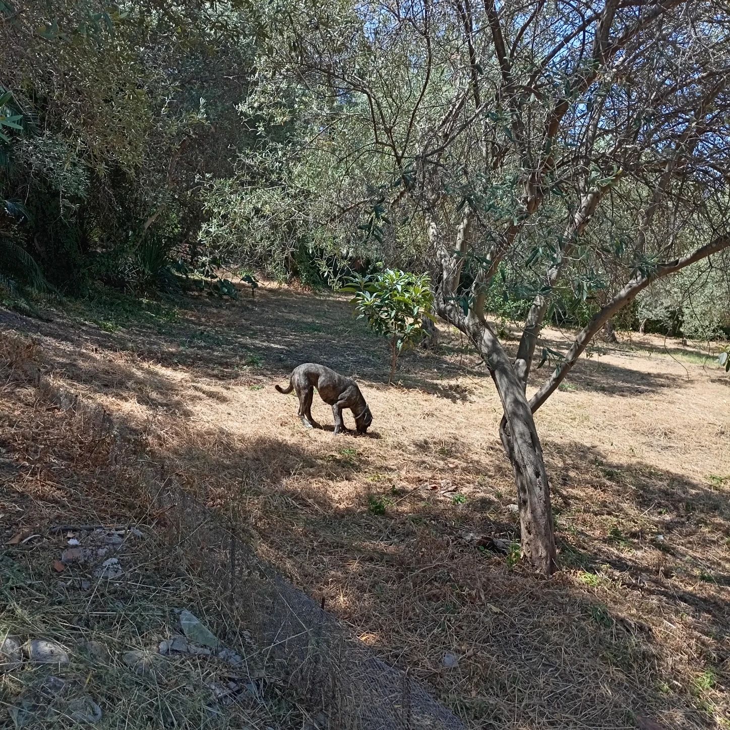 image-18