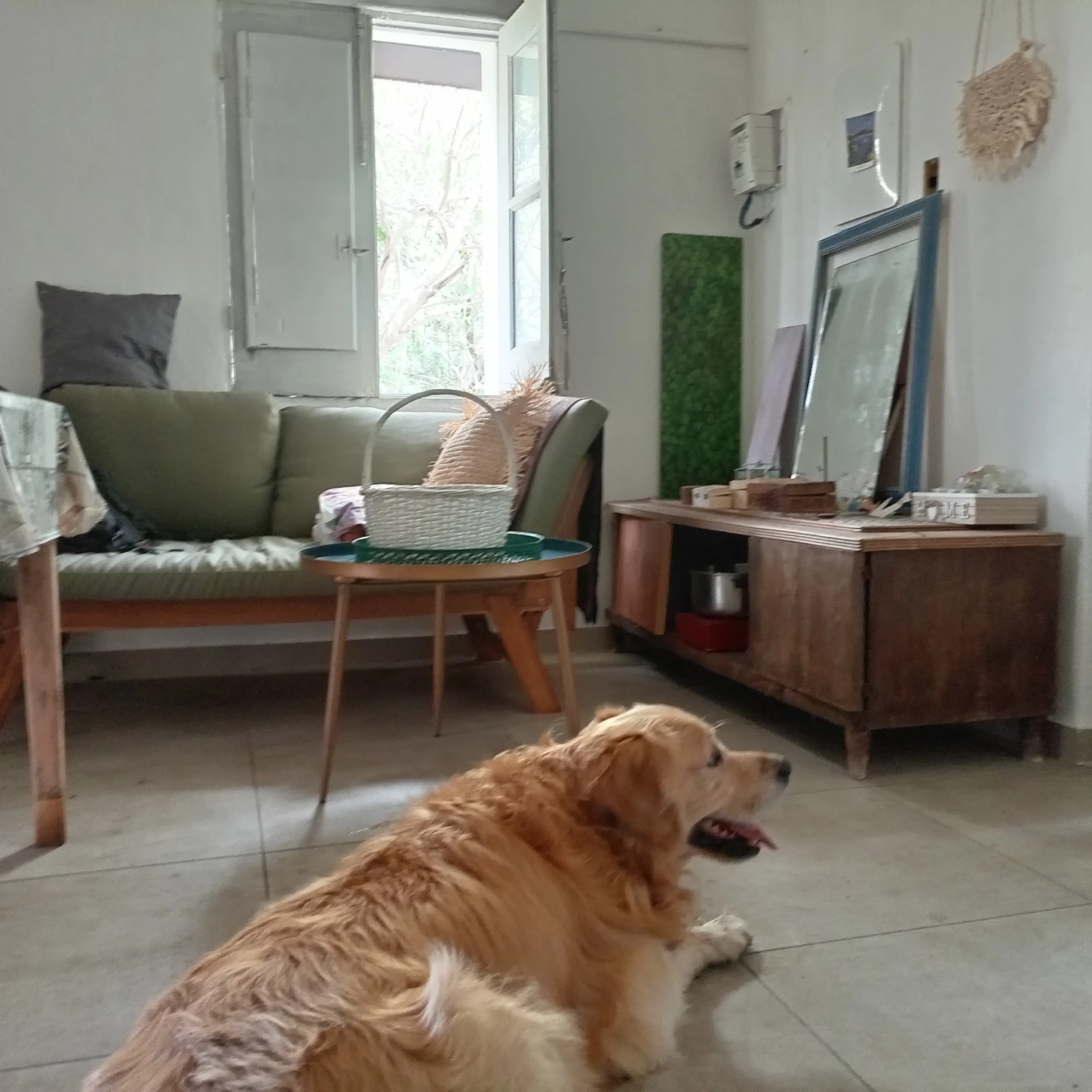 image-16