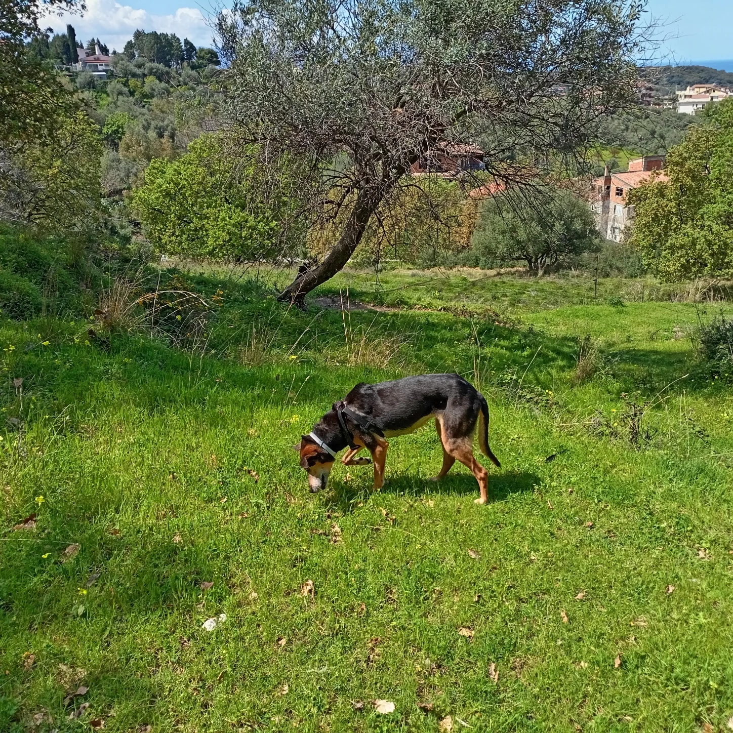 image-14