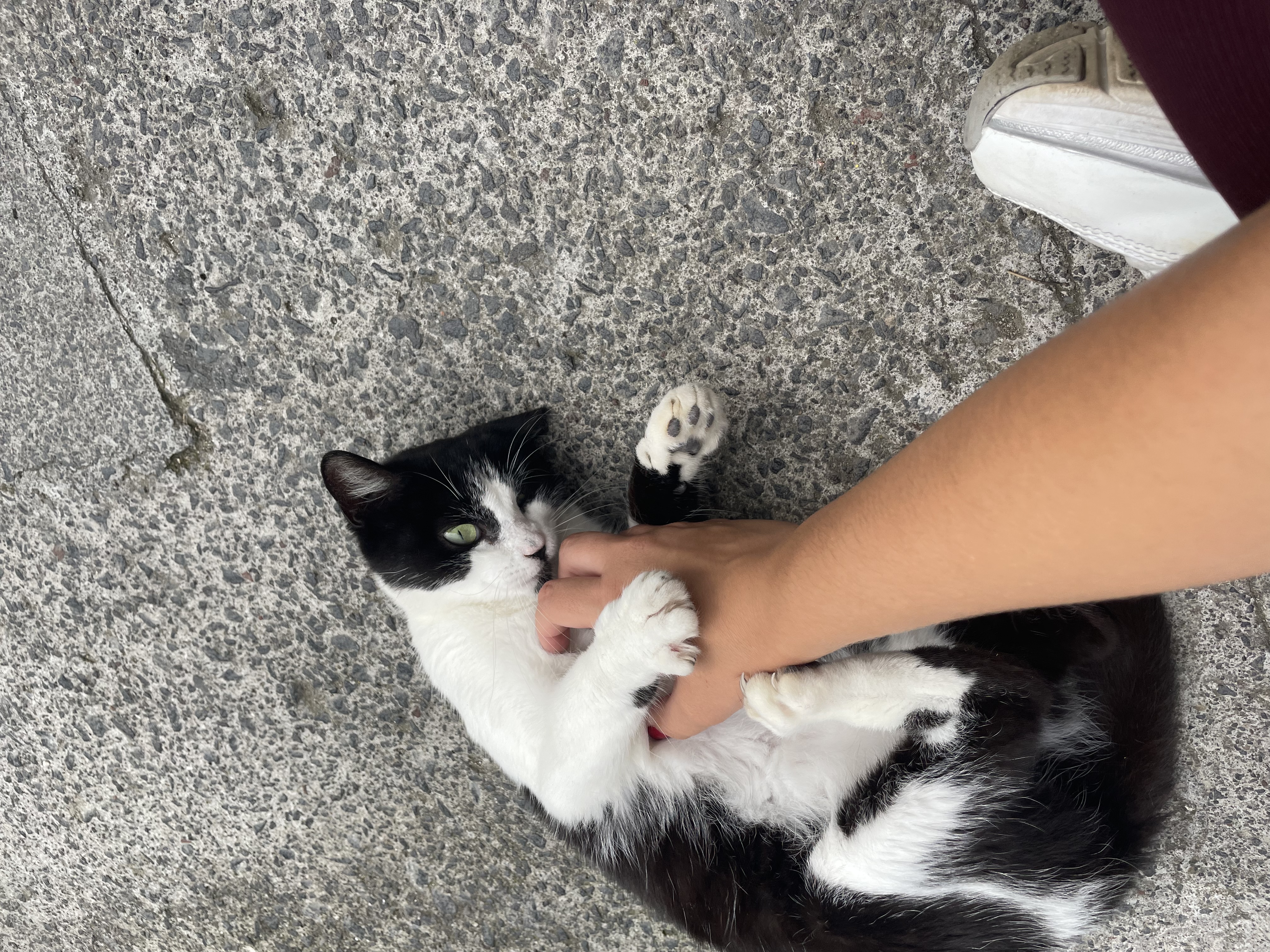 image-11