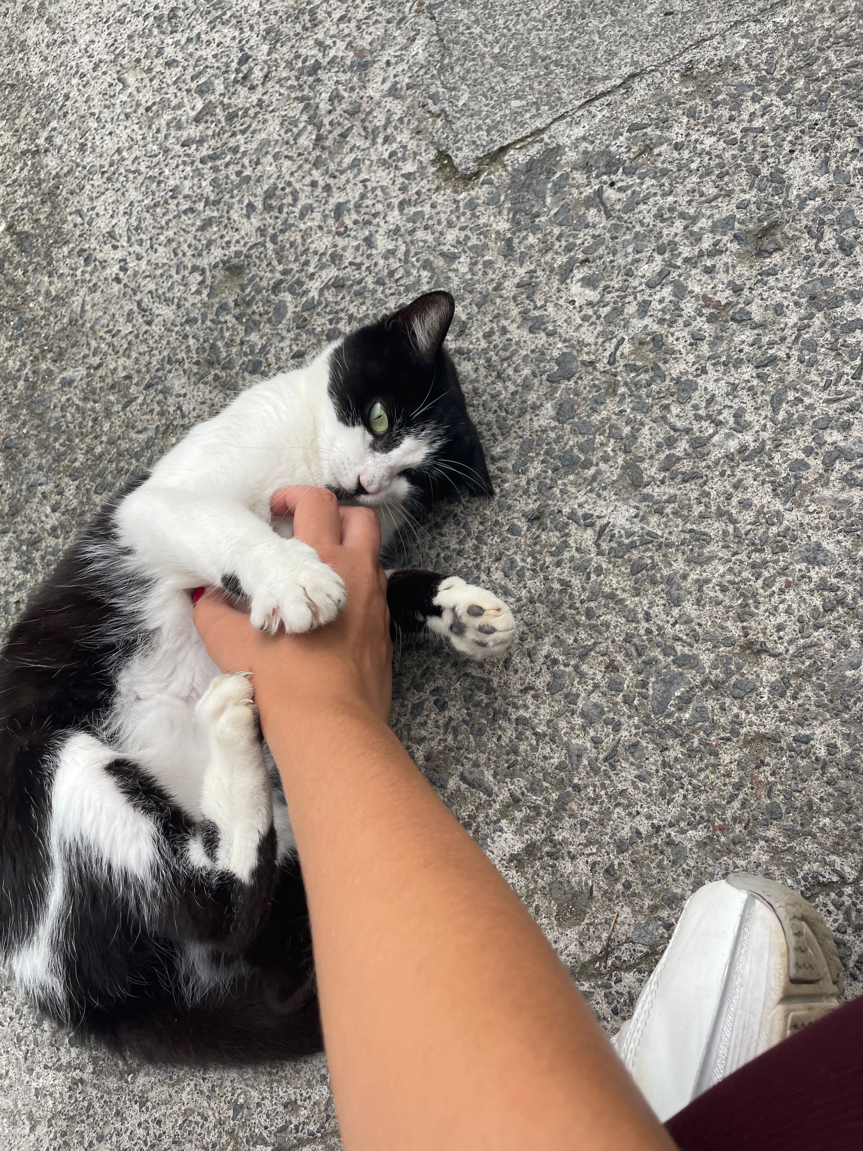 image-11