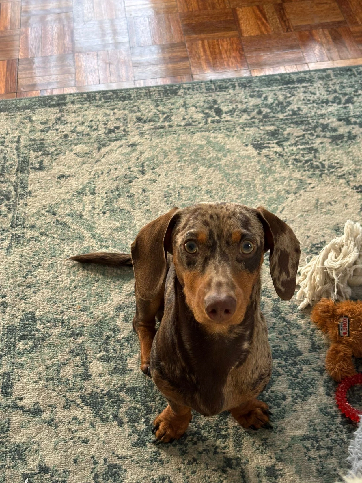 image-4