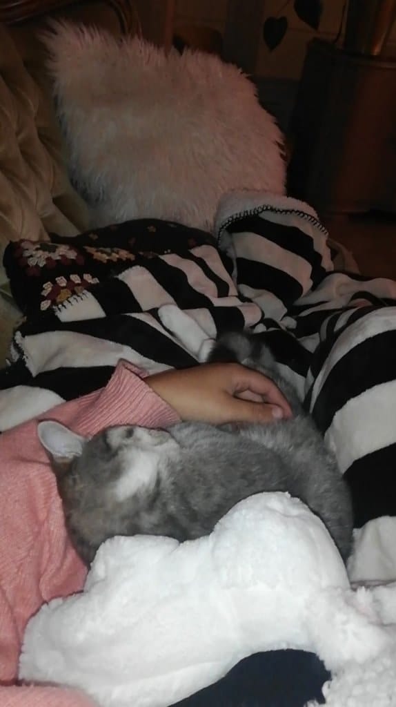 image-7