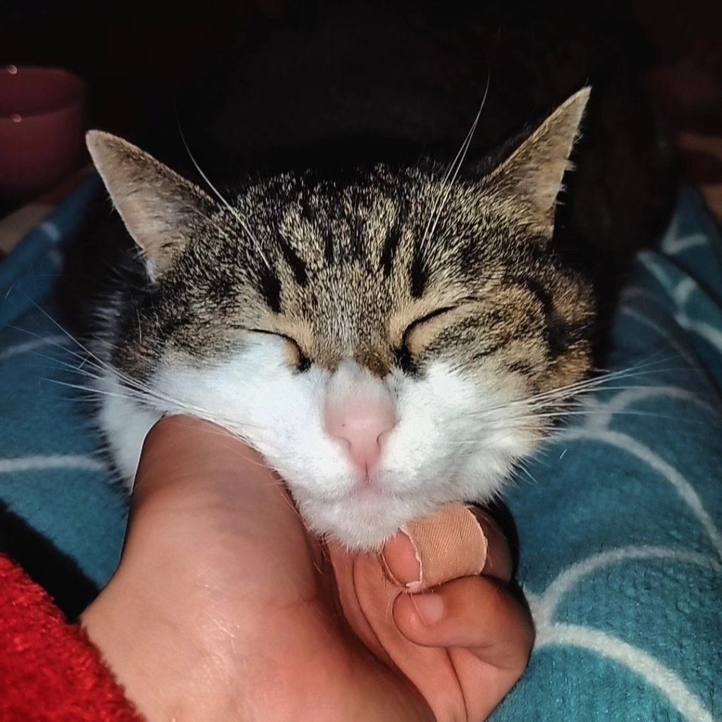 Una