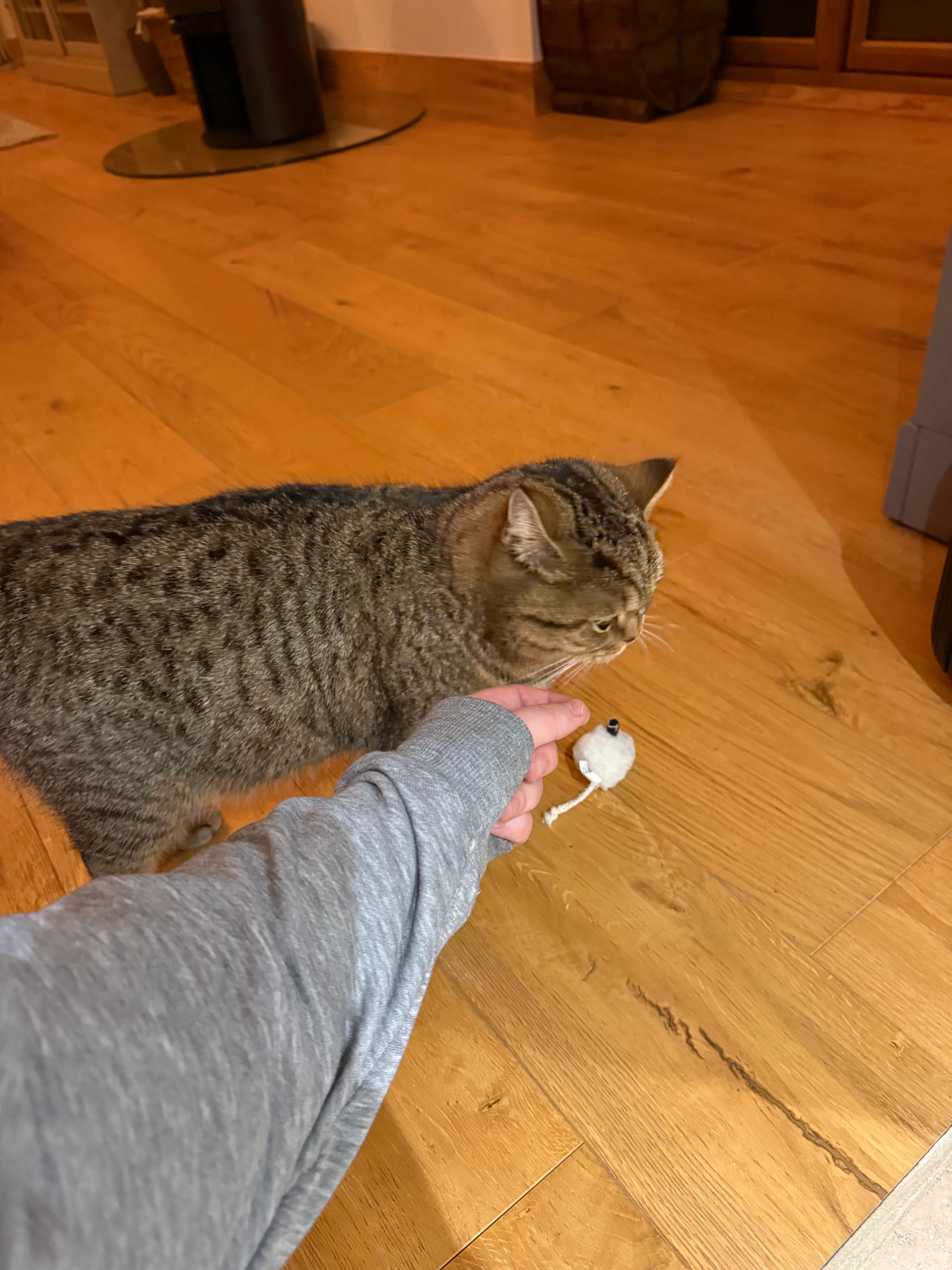 image-7