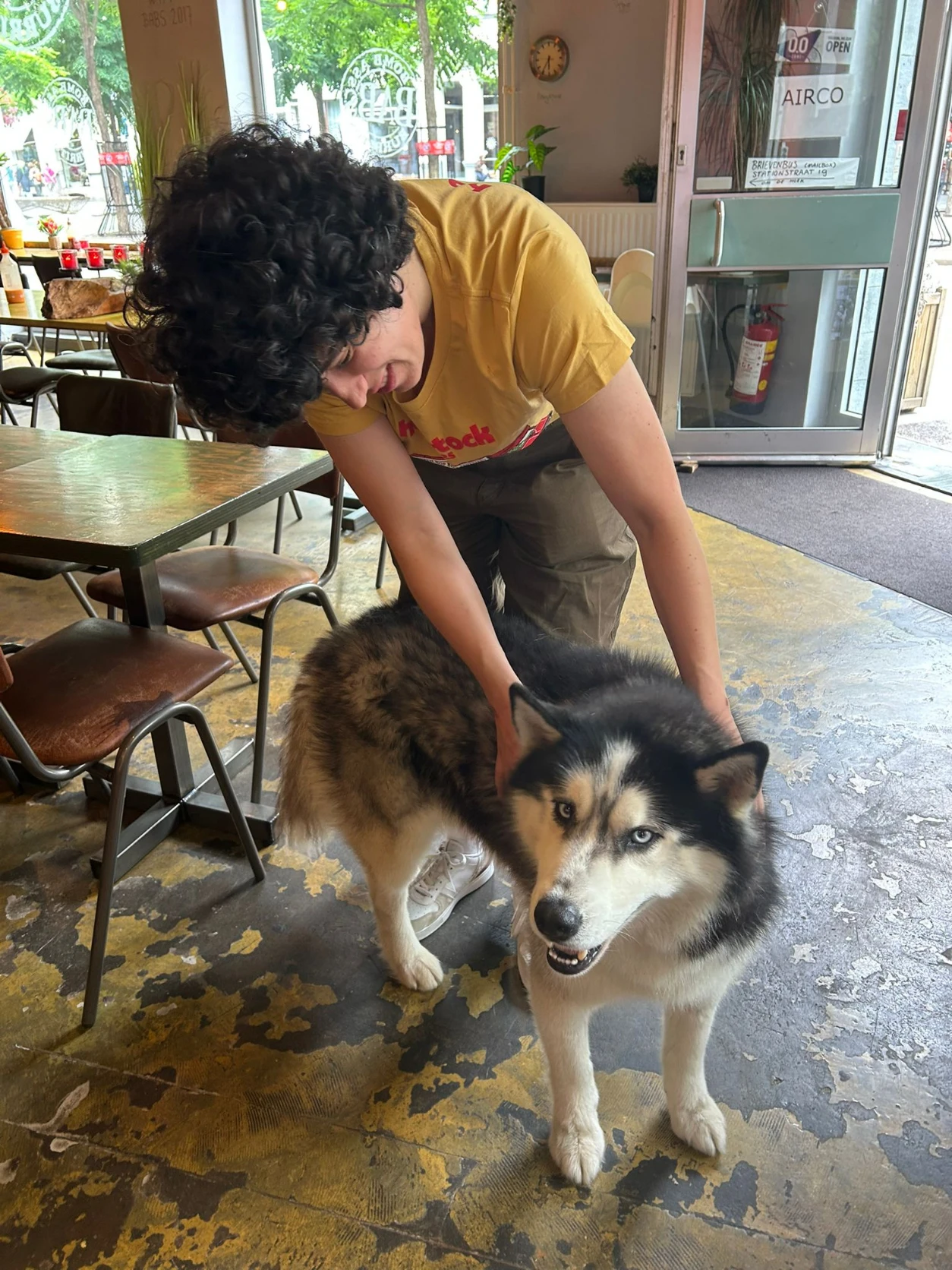 image-7