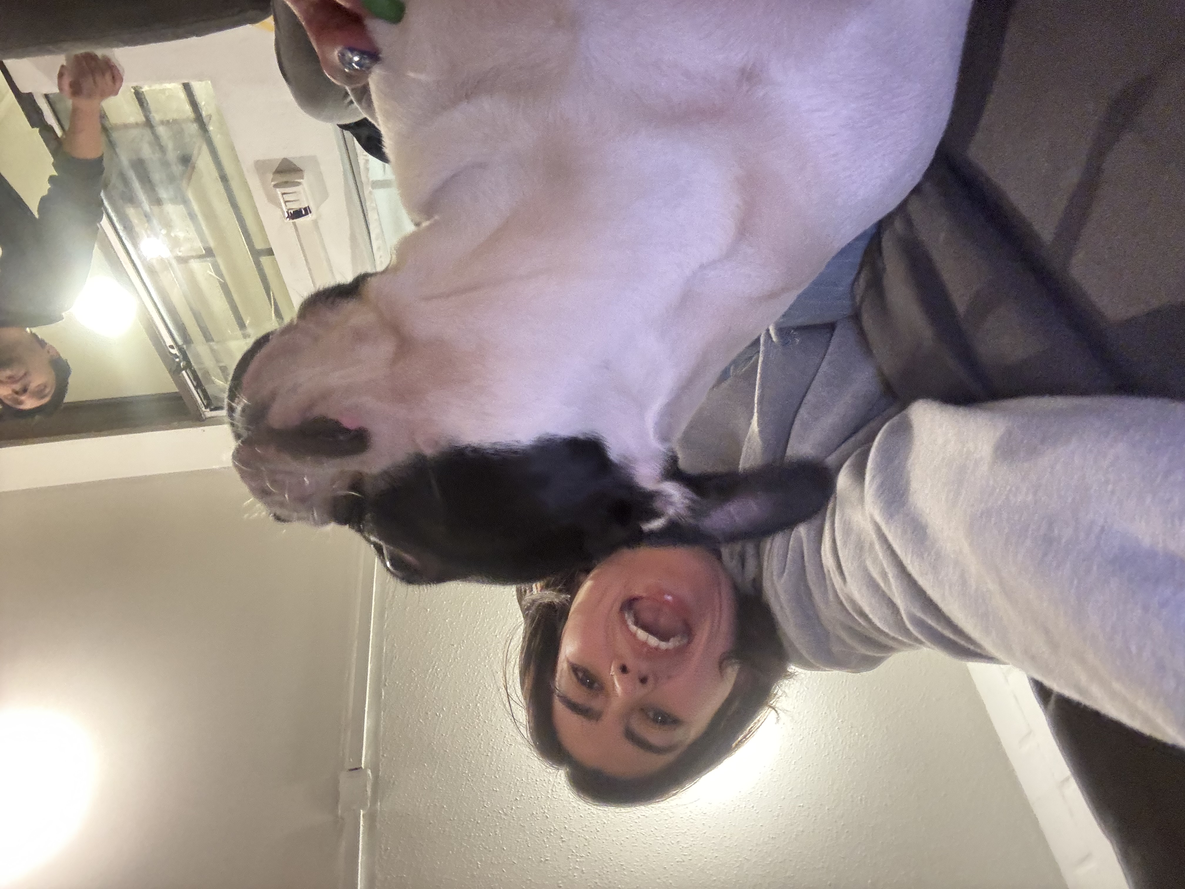 image-4