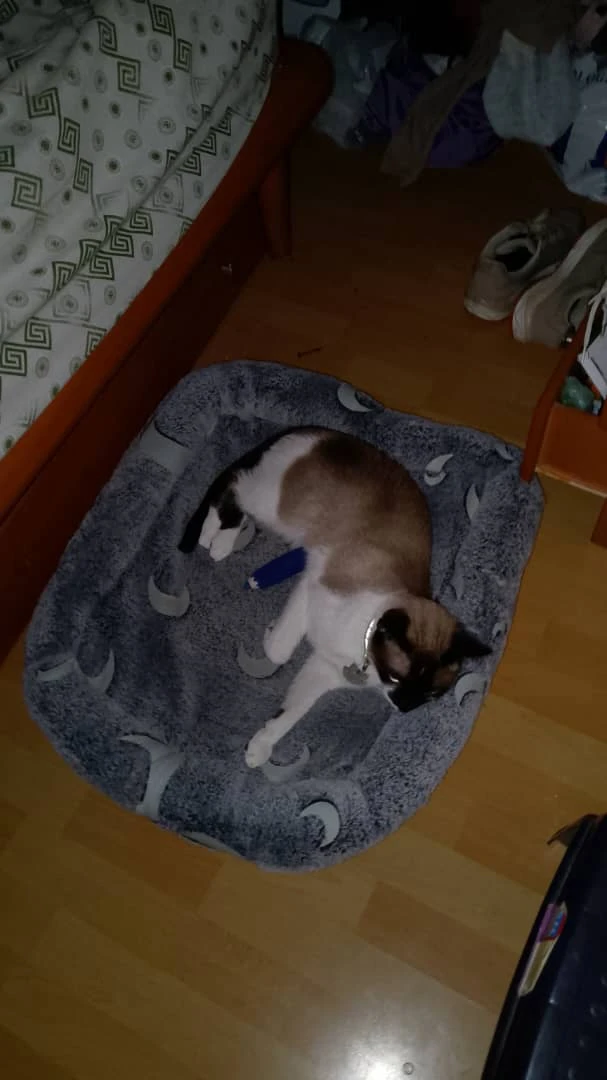 image-16