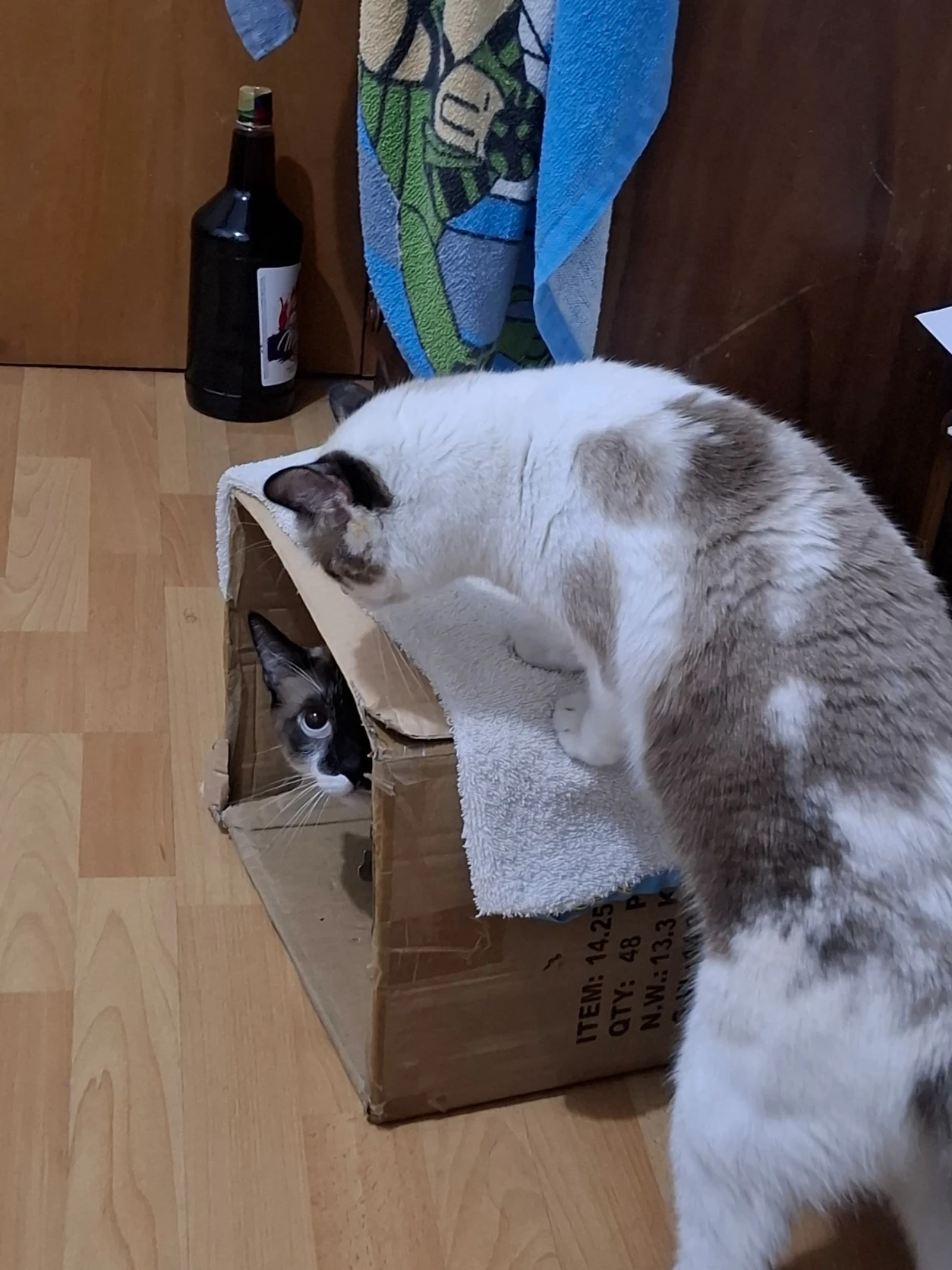 image-5