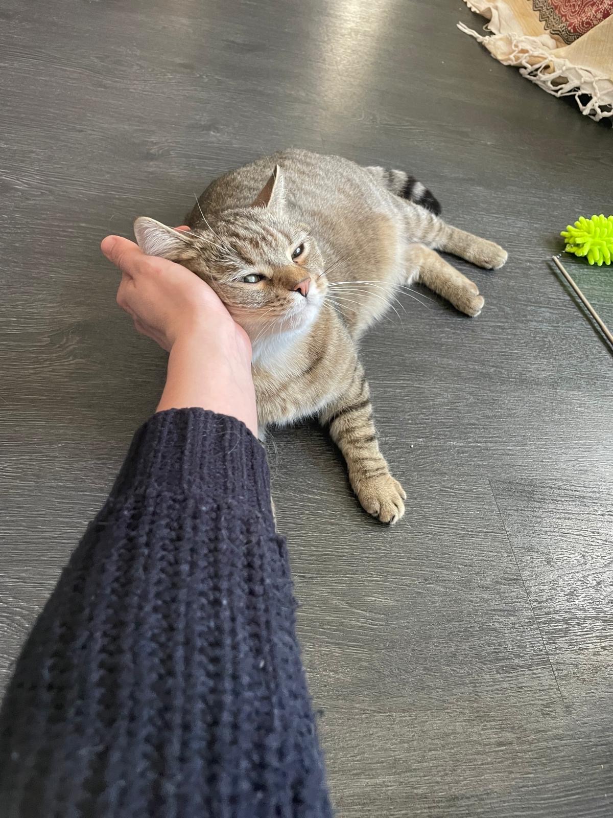 image-9