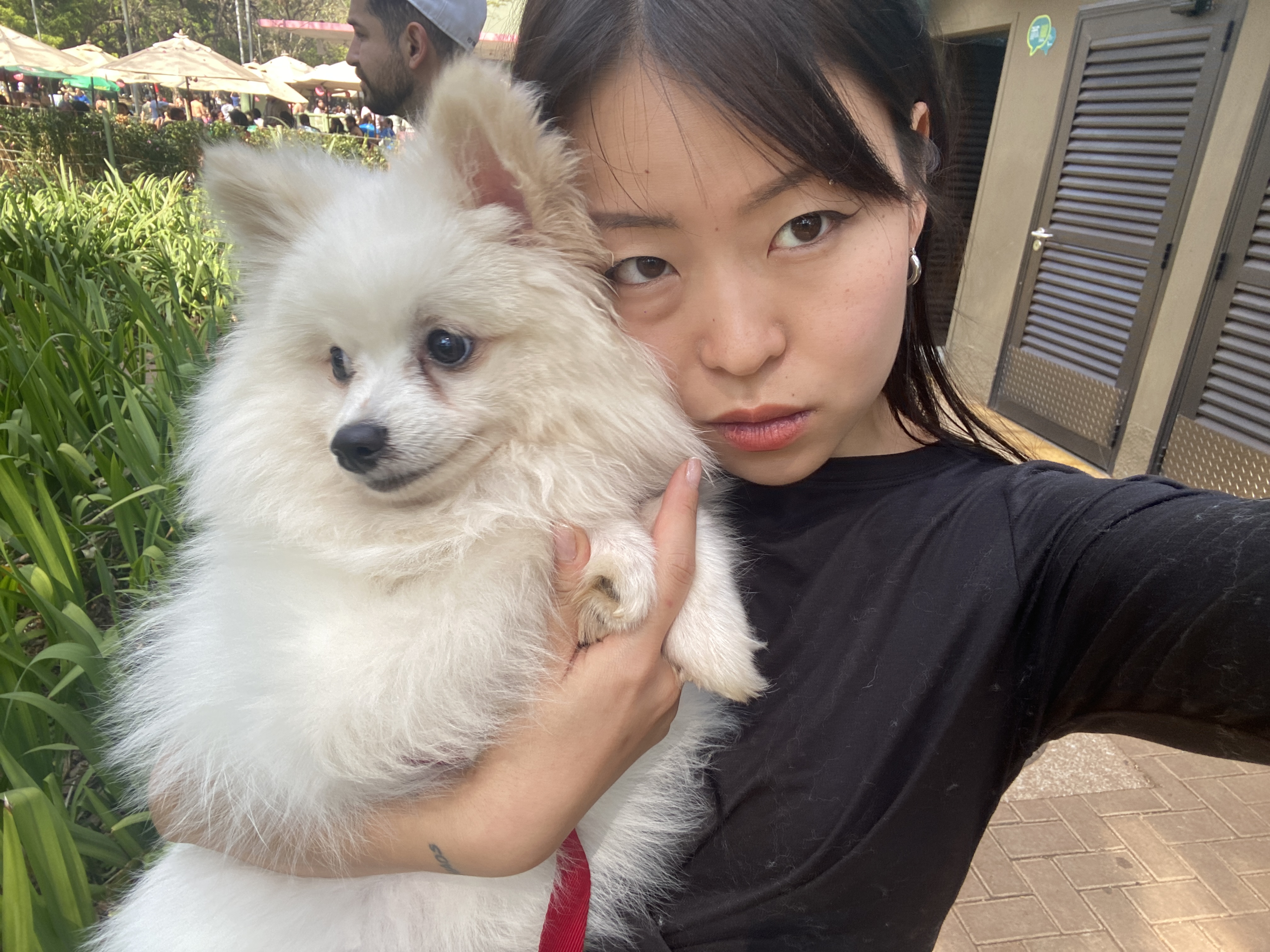 image-7