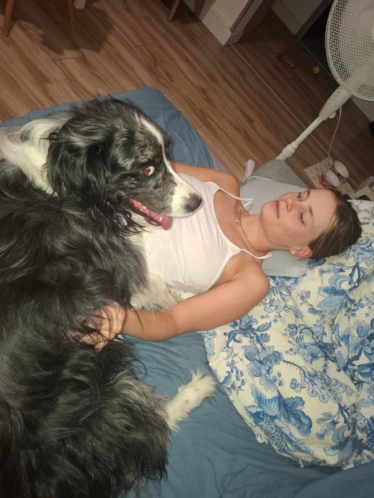 image-8
