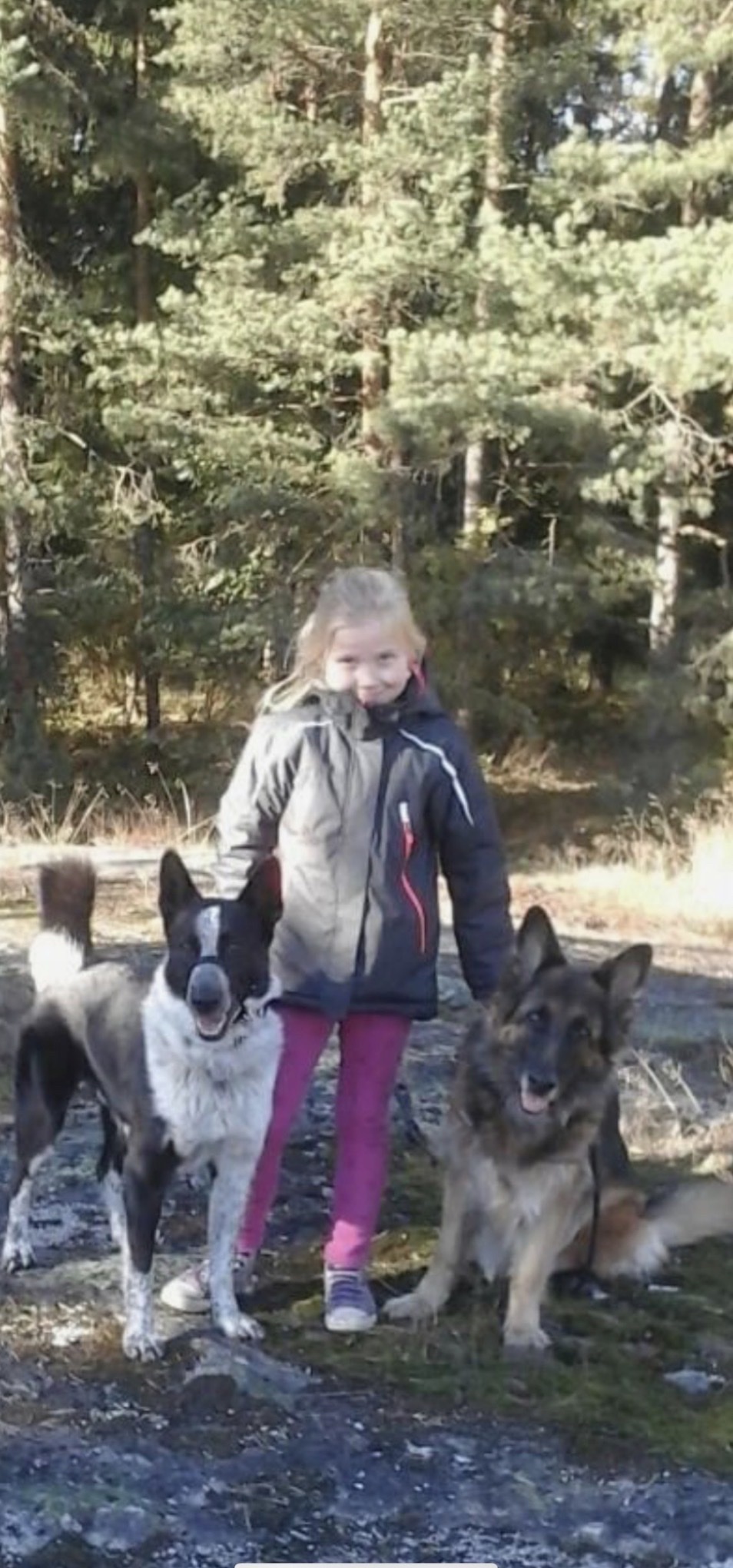image-5