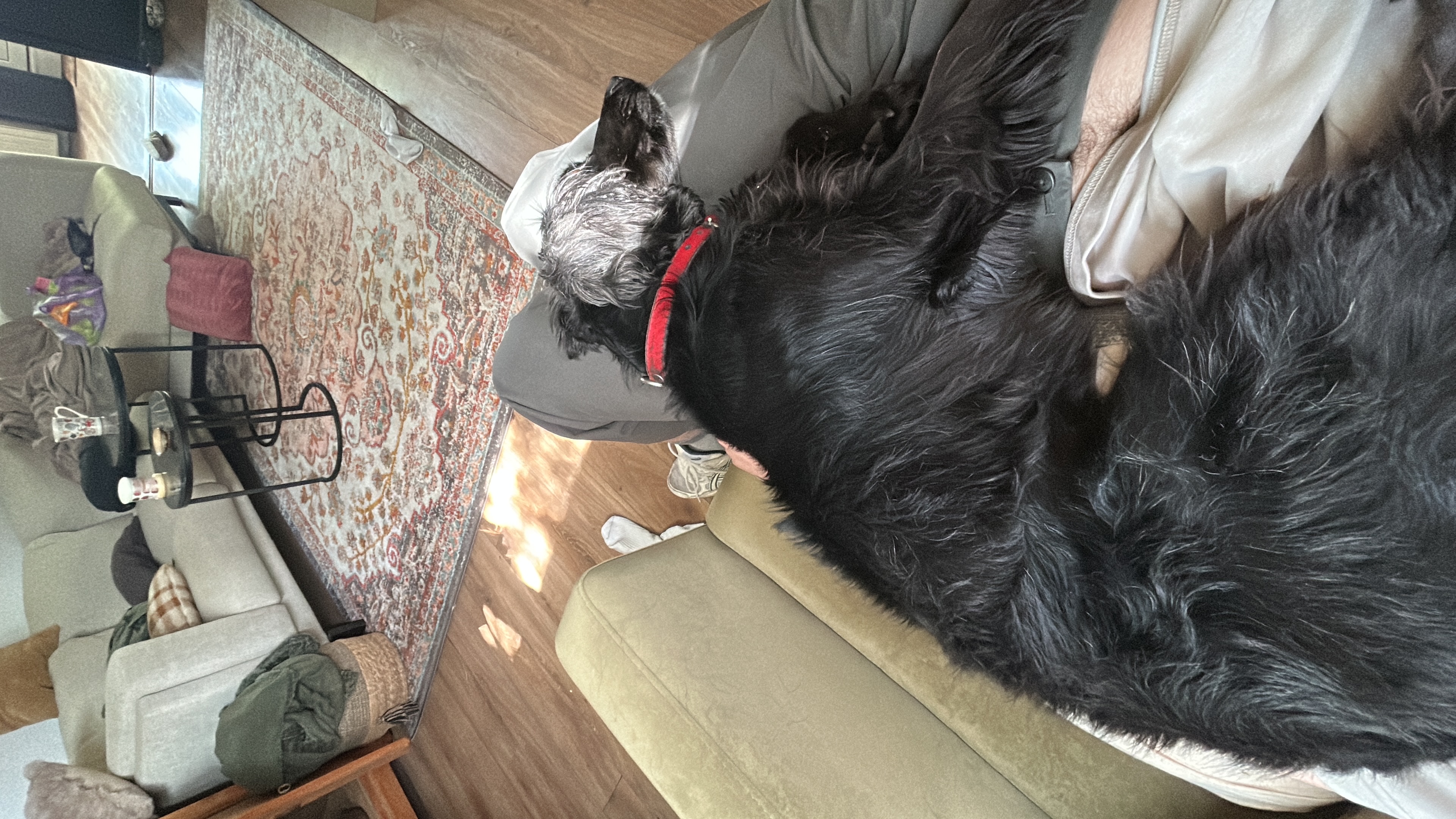 image-7