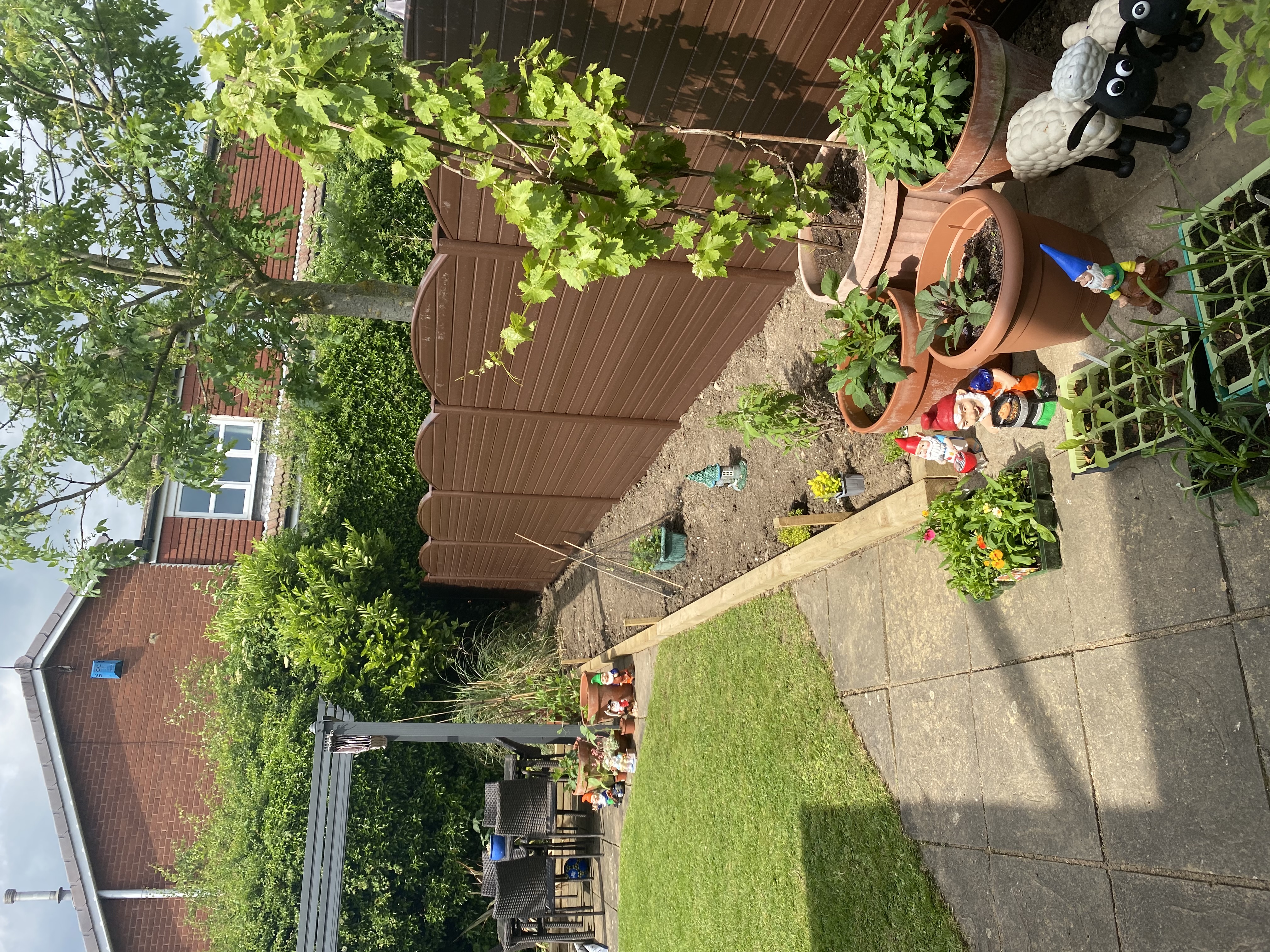 image-16