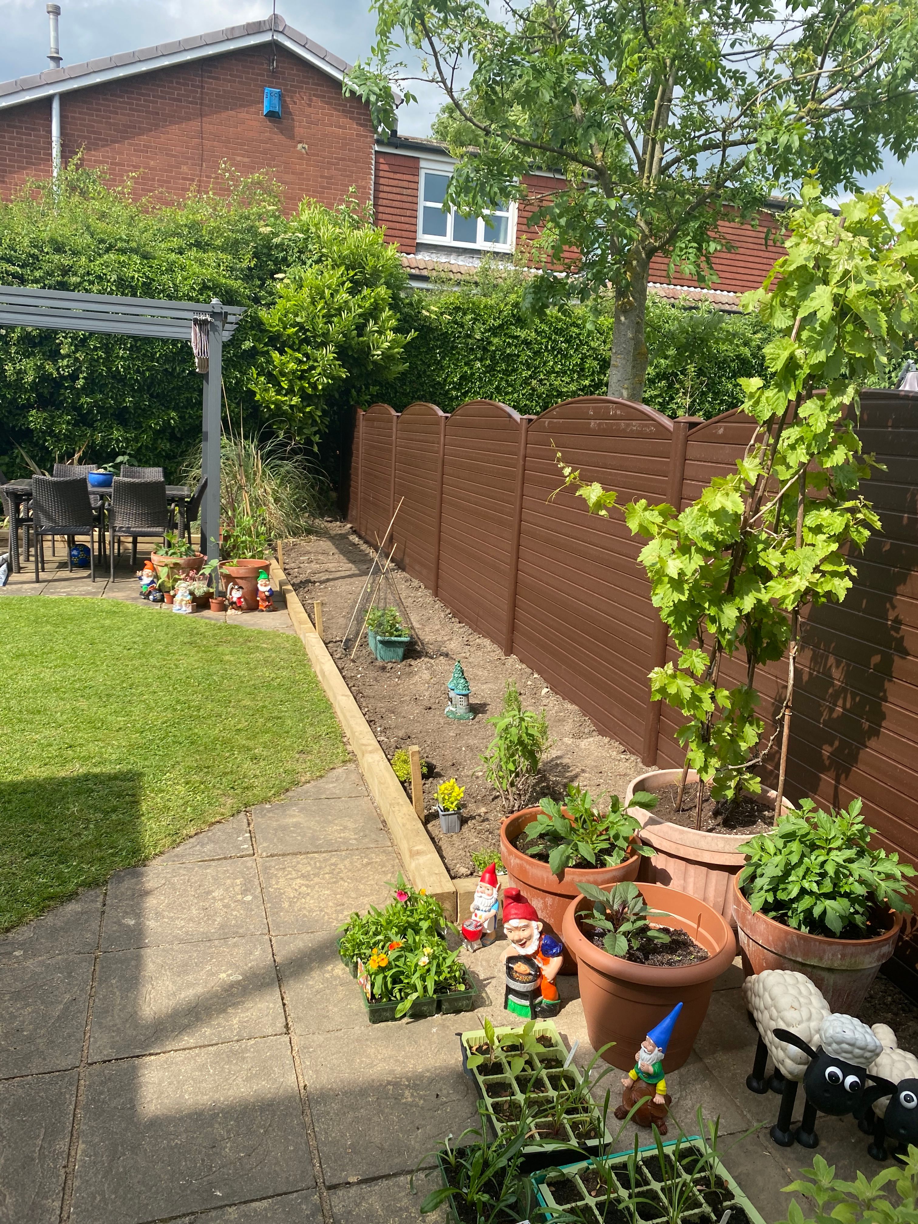 image-16