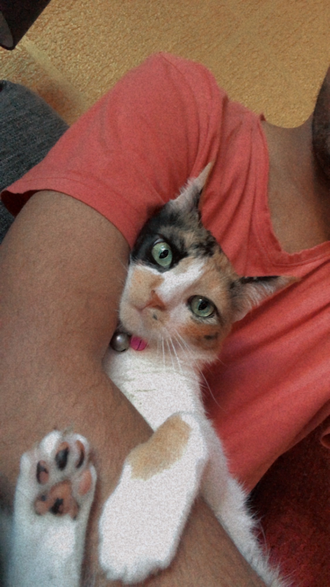 image-8