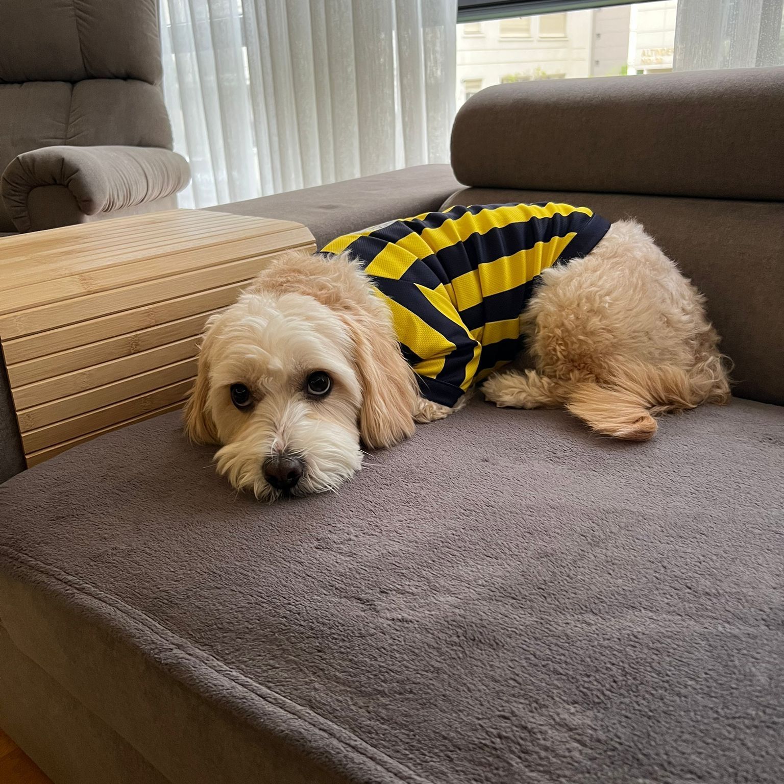 Leo