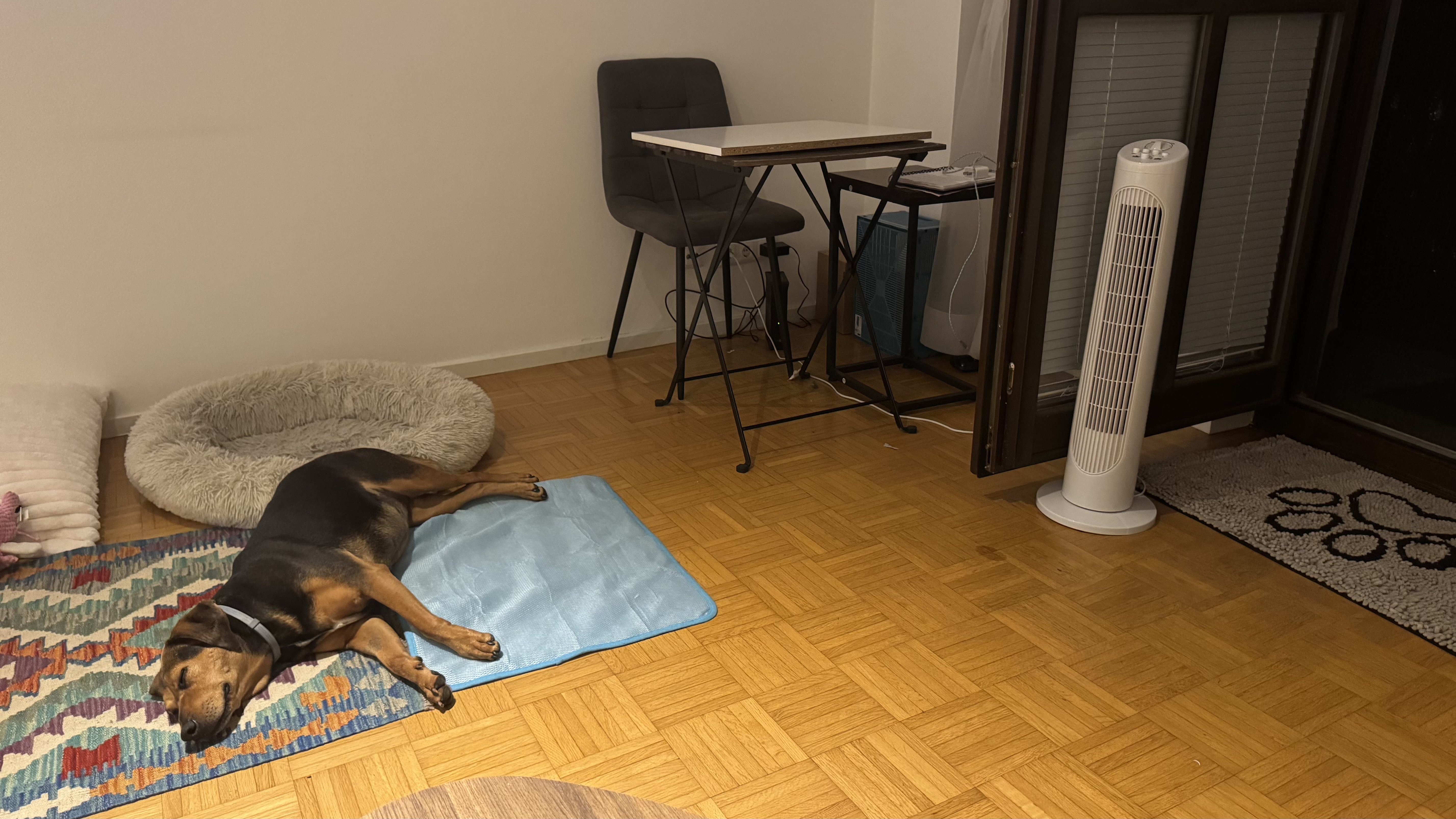 image-11