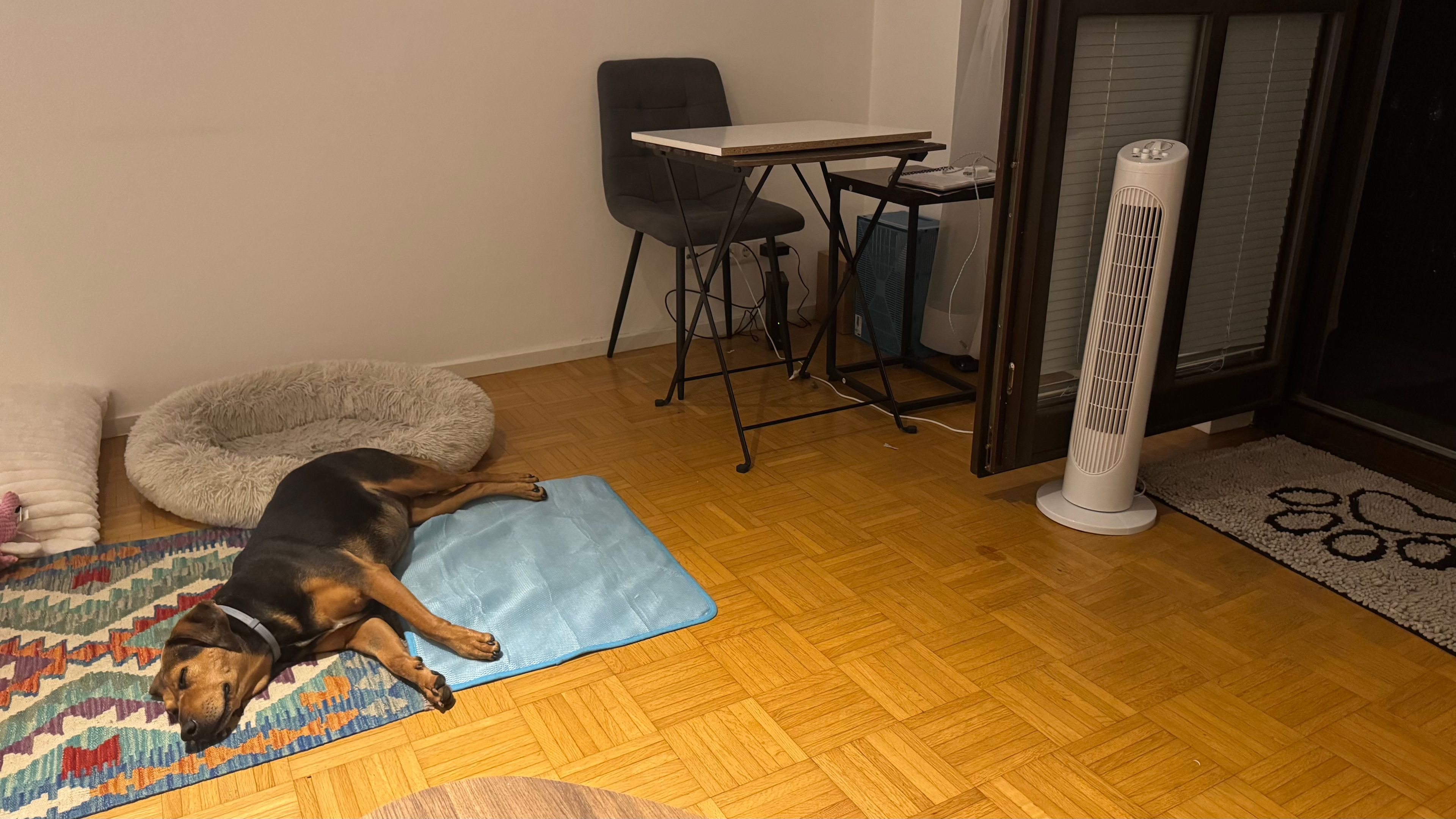 image-11